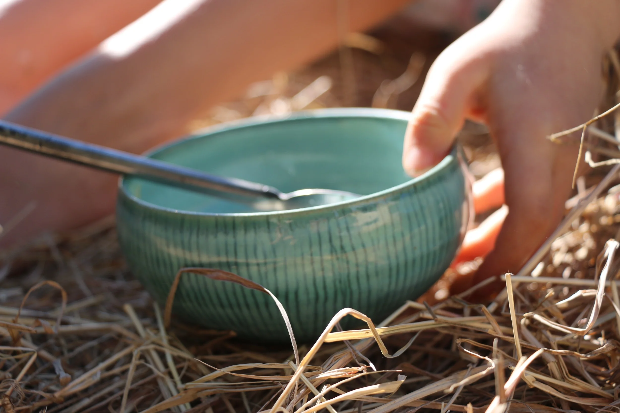 Breakfast Bowl.jpg