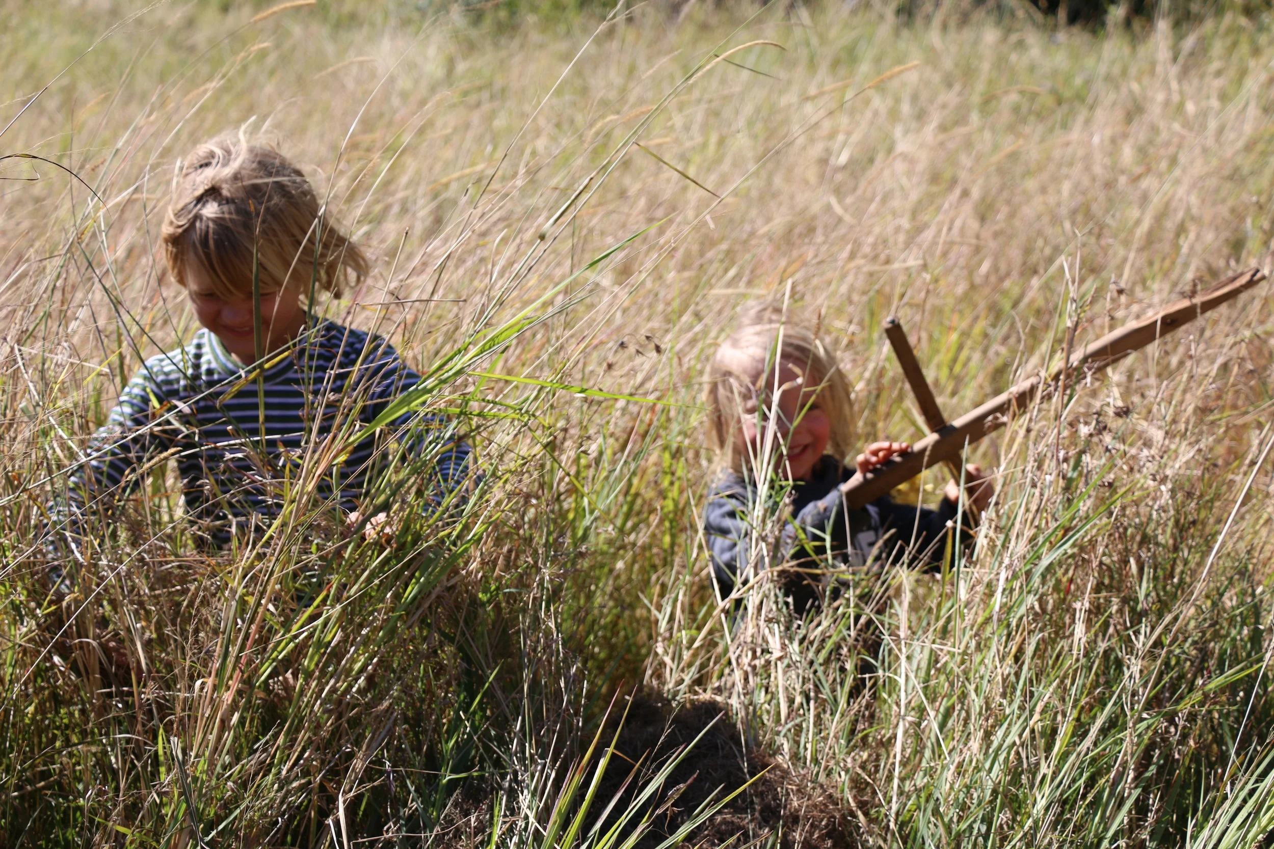 Boys in Bush.jpg