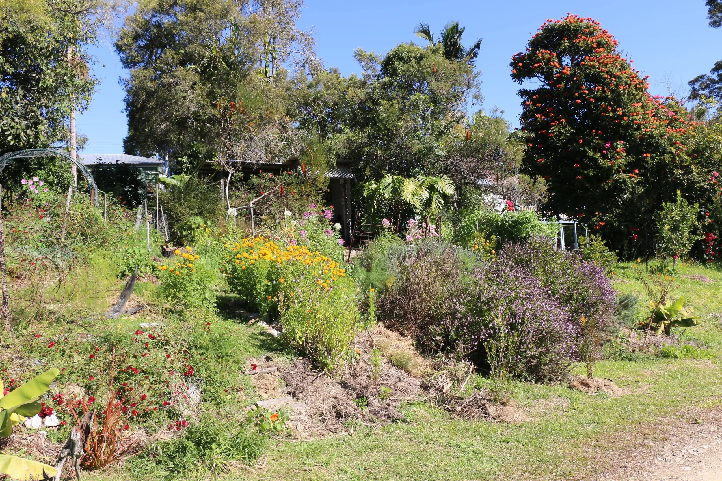 Secret Garden.jpg