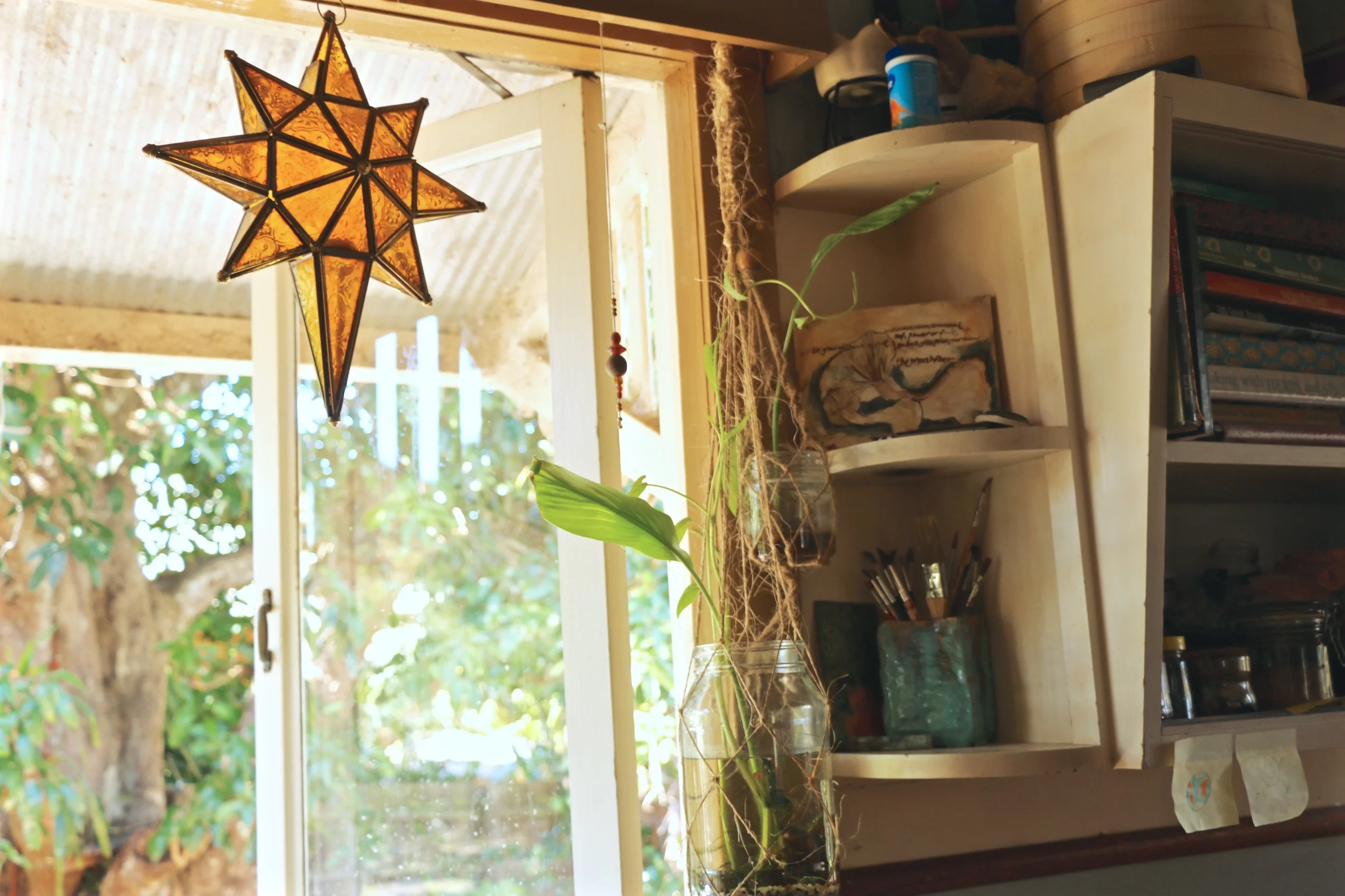 Kitchen Window.jpg
