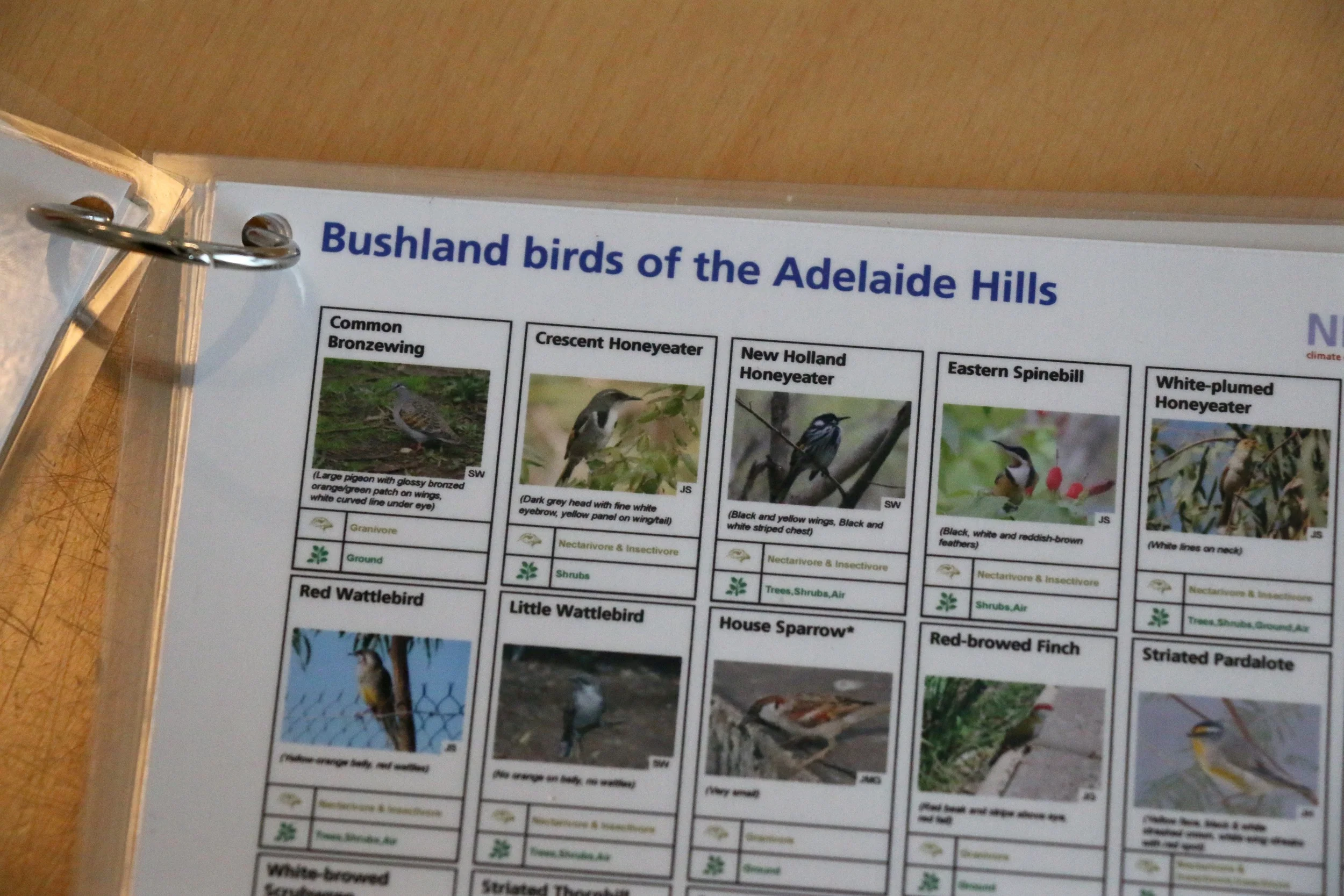 Identification Flip Charts.jpg