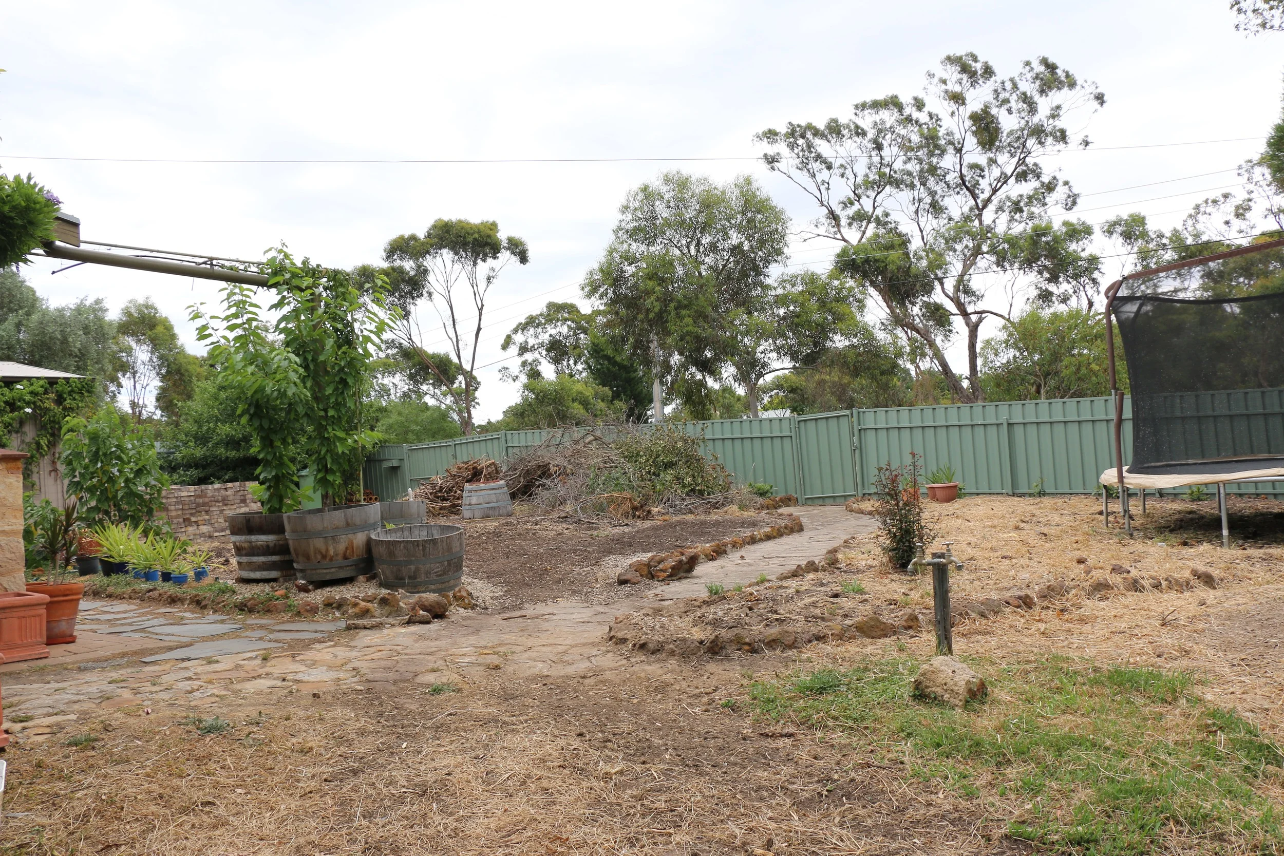Front Garden.jpg