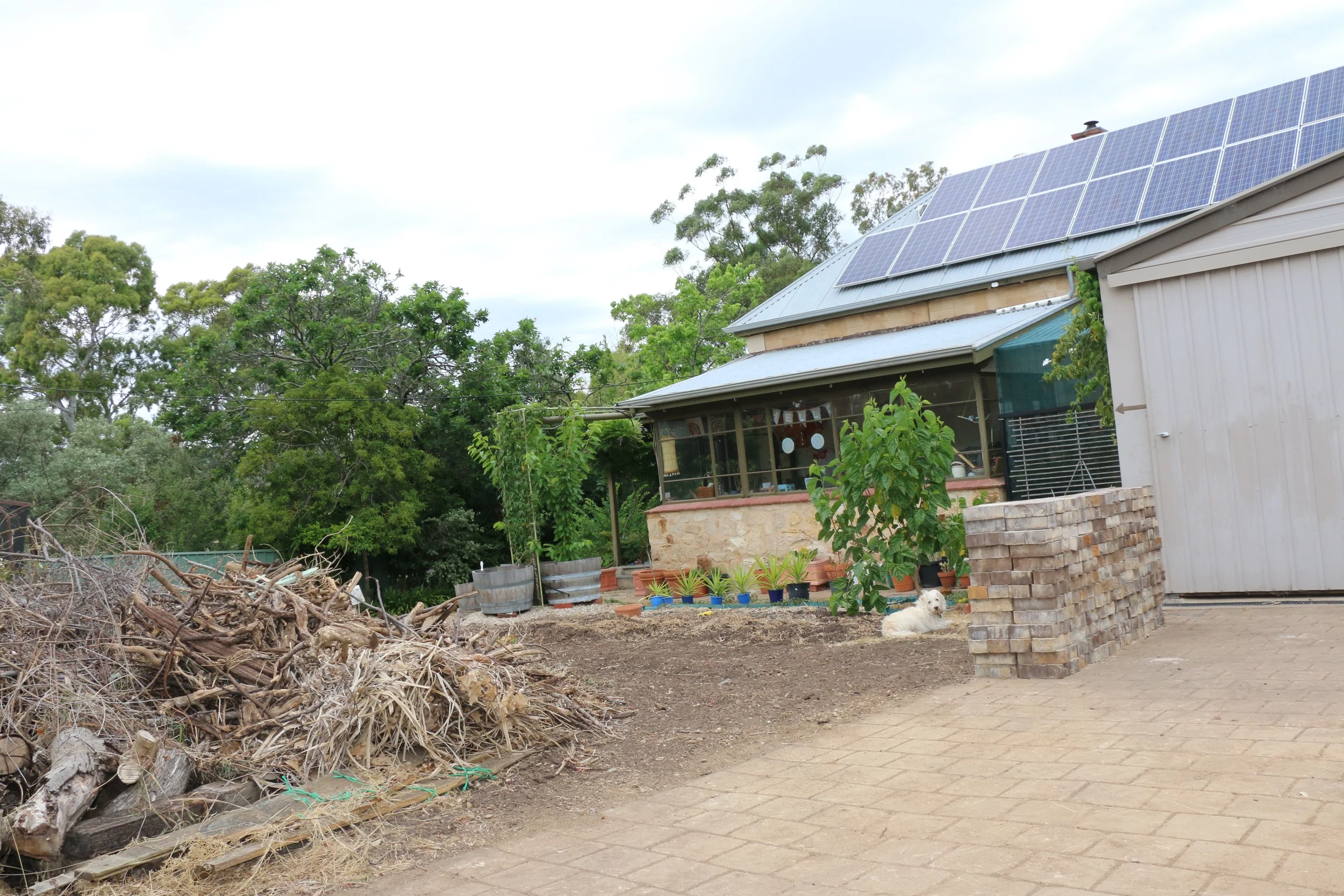 From Driveway.jpg