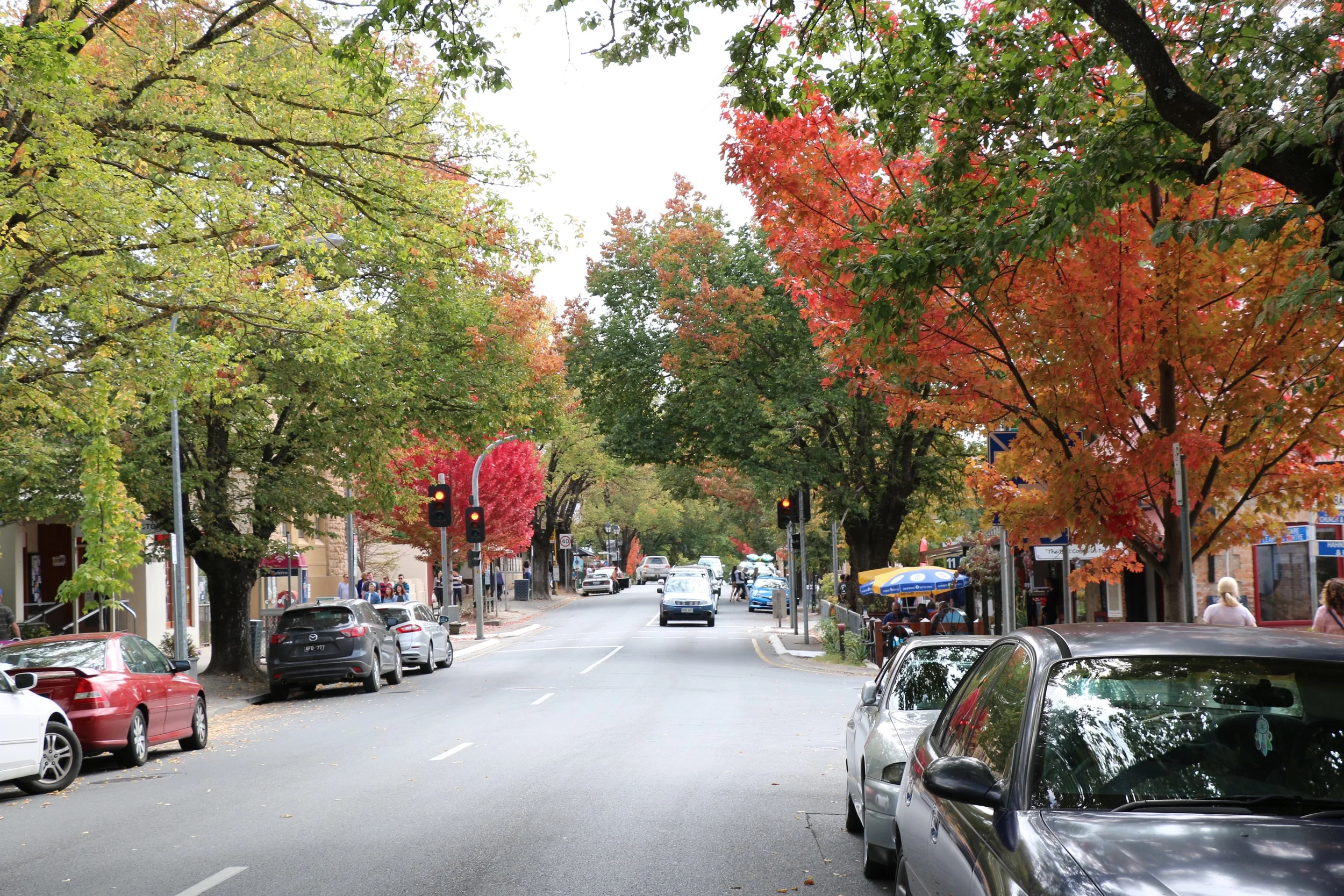Autumn in the Hills.jpg