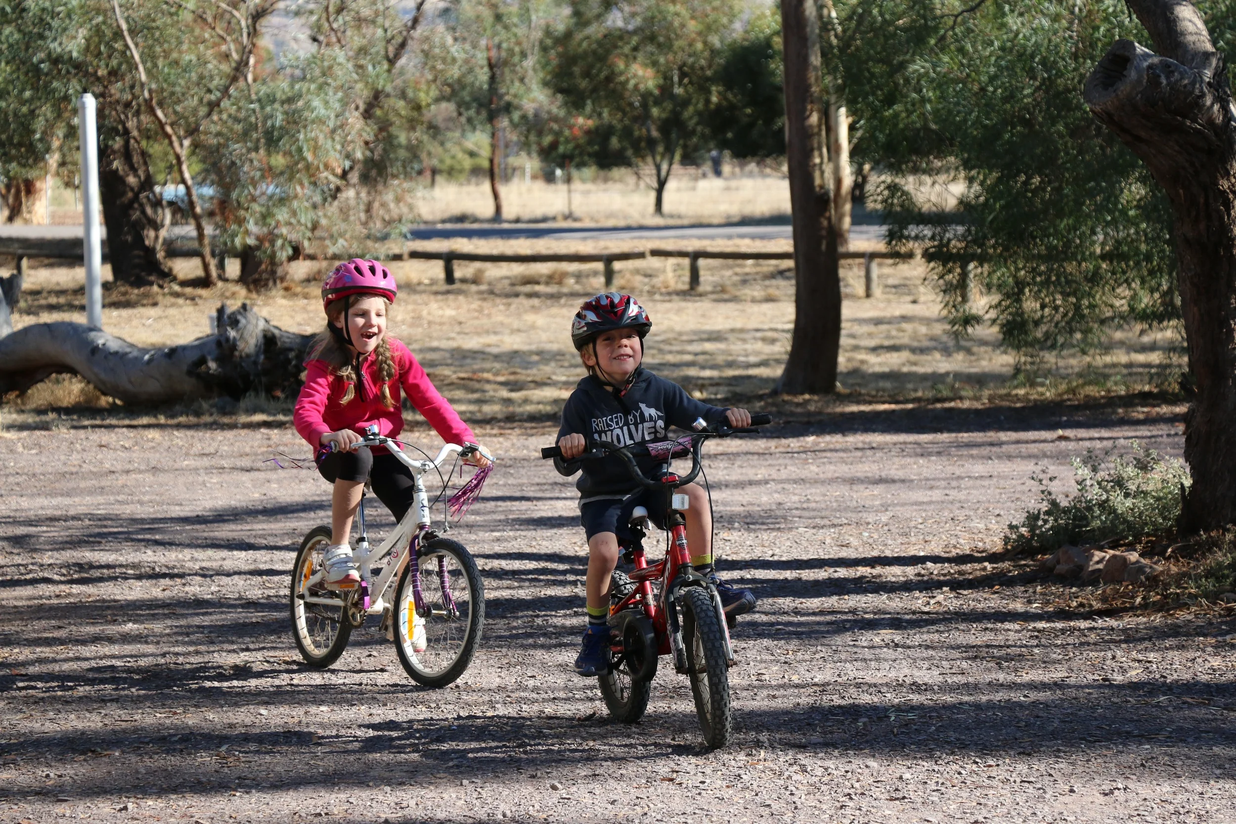 Bikes at Camp.jpg