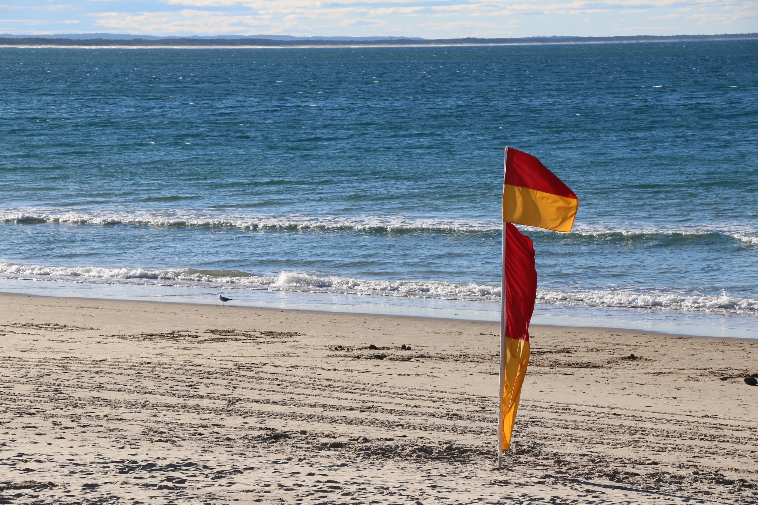 Between The Flags.jpg