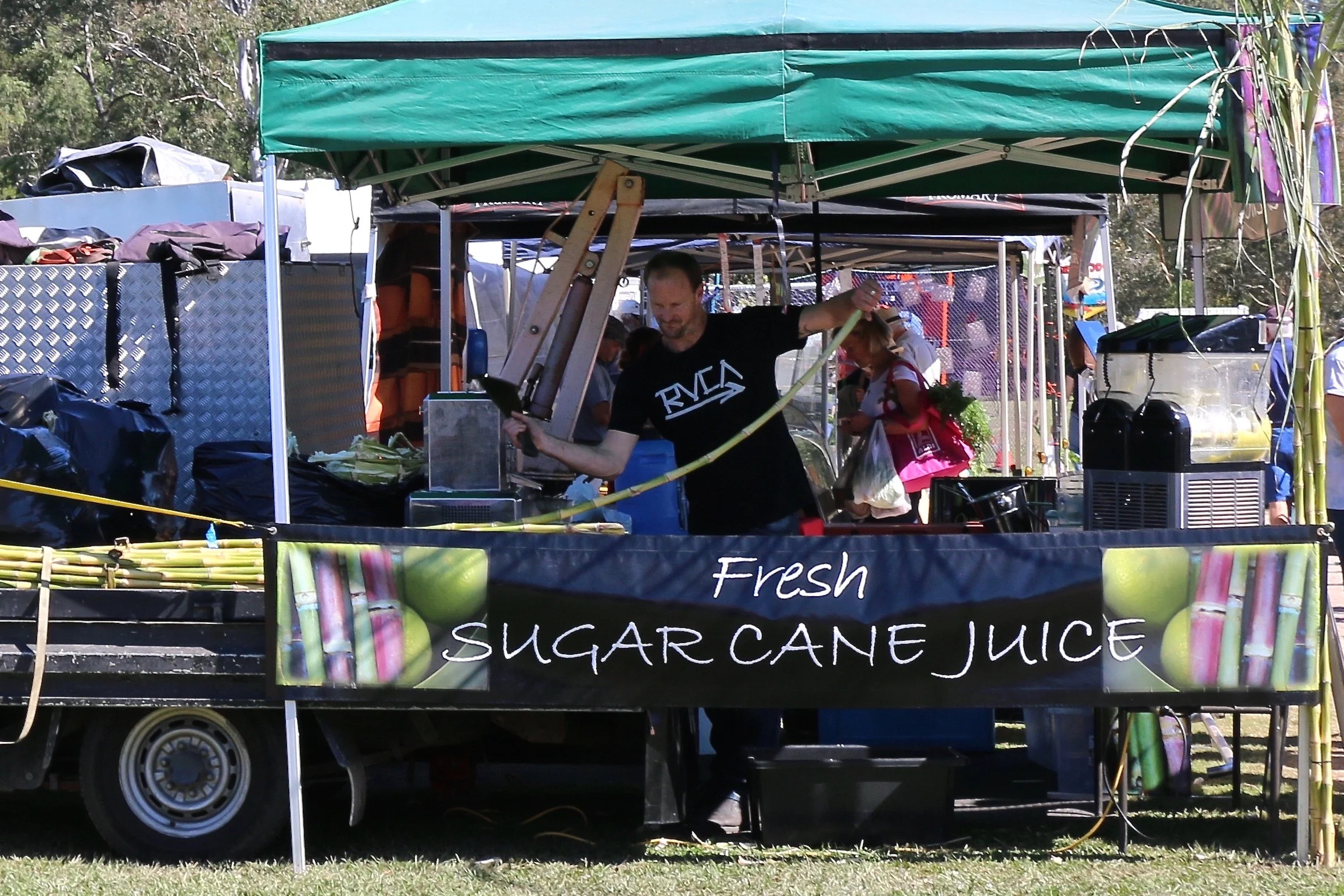 Suger Cane.jpg