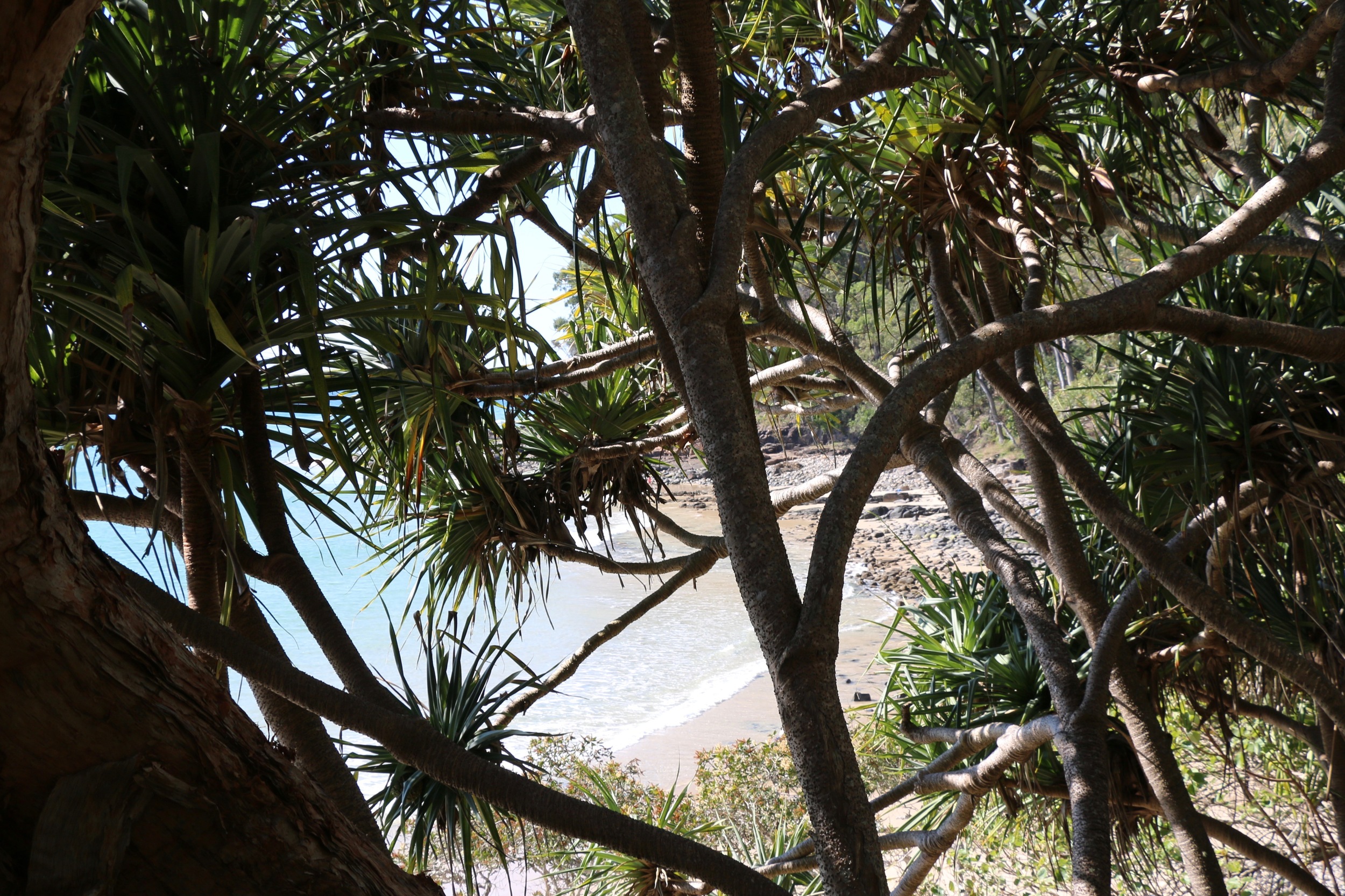 Little Cove.jpg