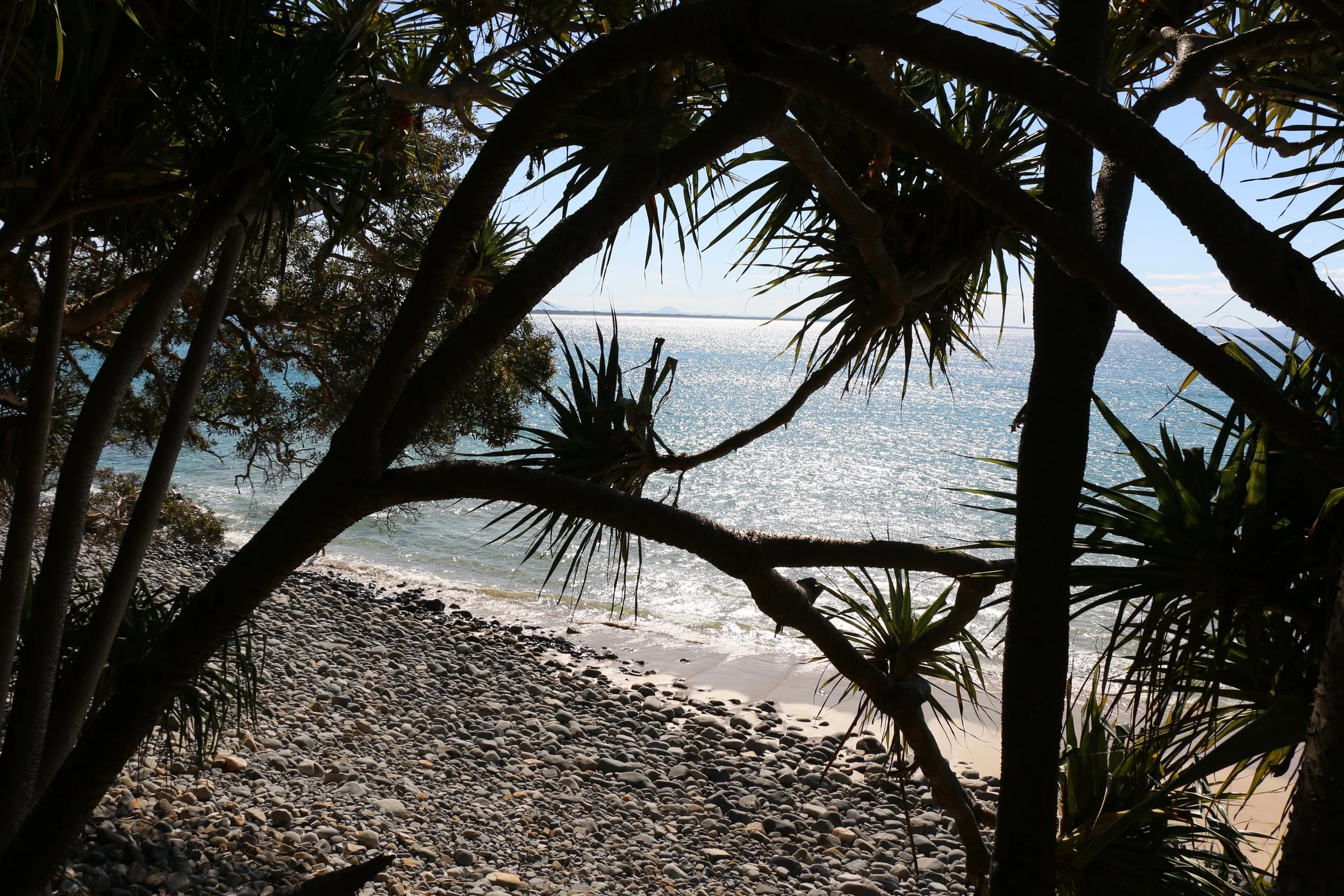 Little Cove.jpg