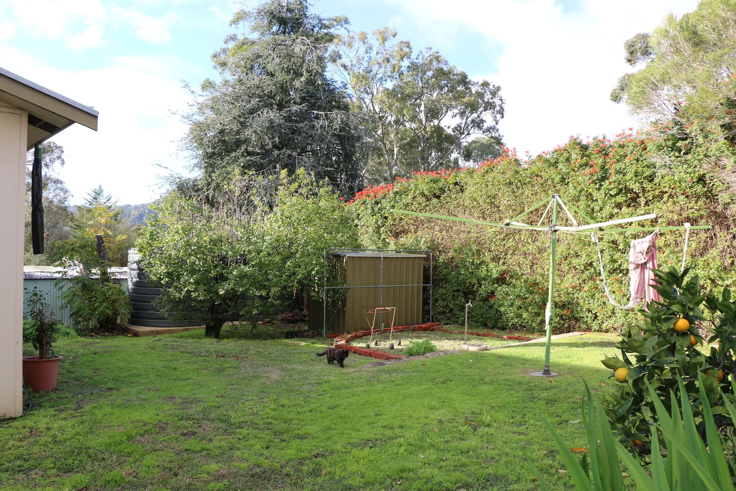 Back Garden.jpg