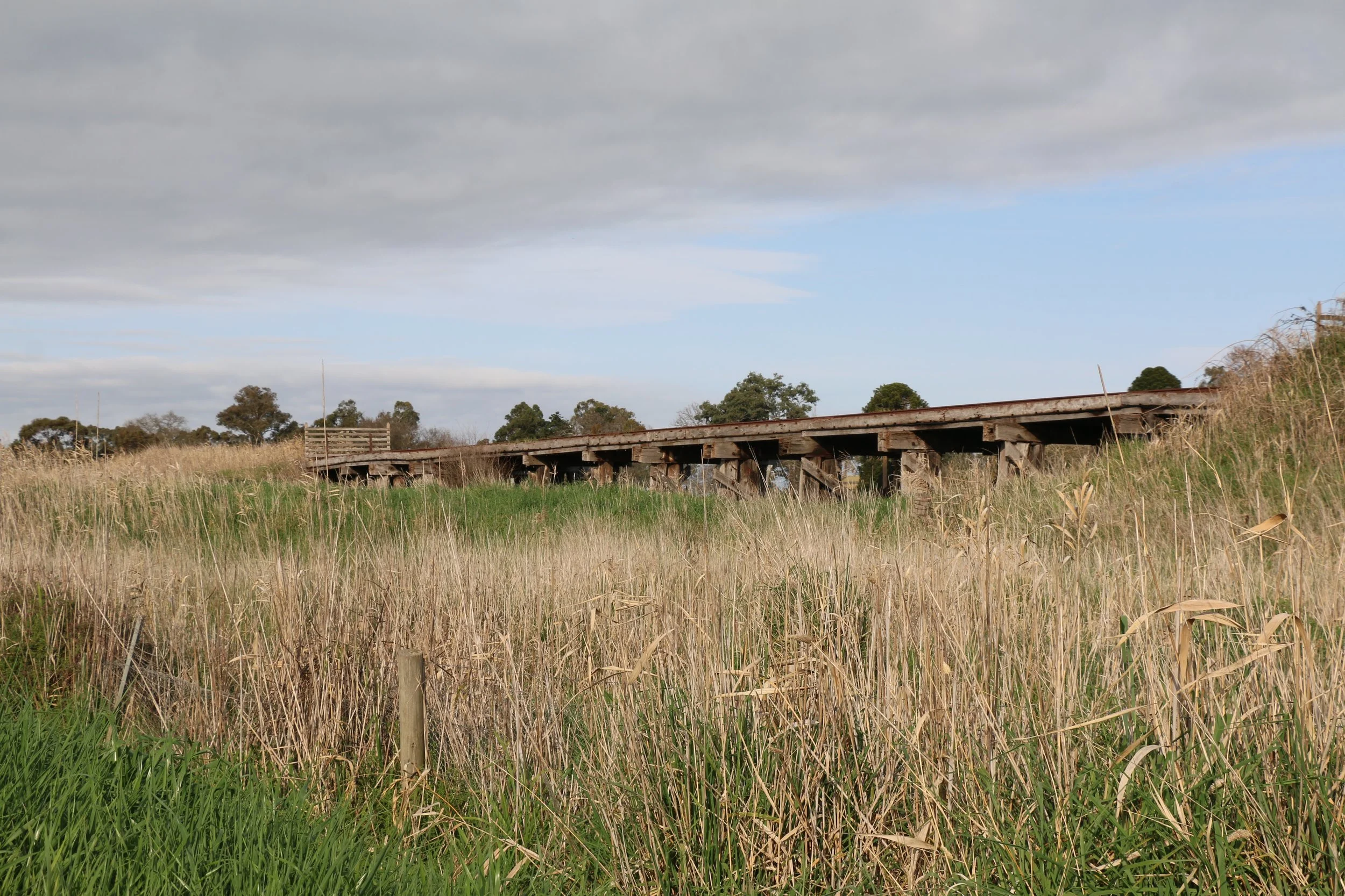 Train Track.jpg