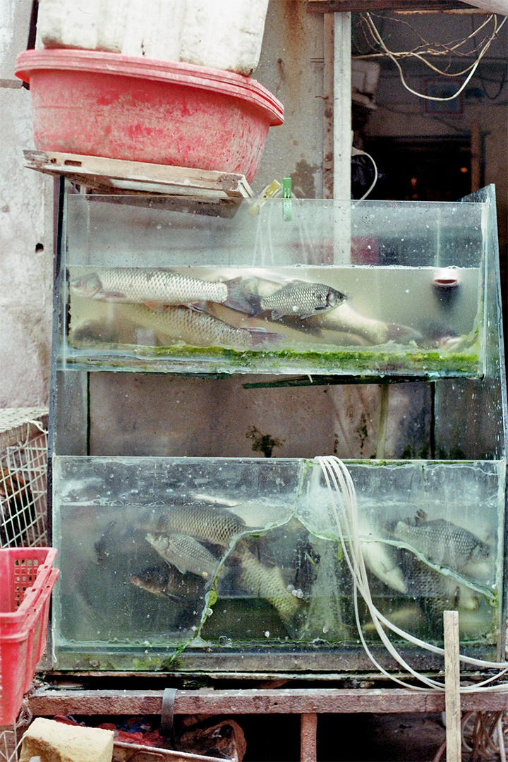 Quindao | China