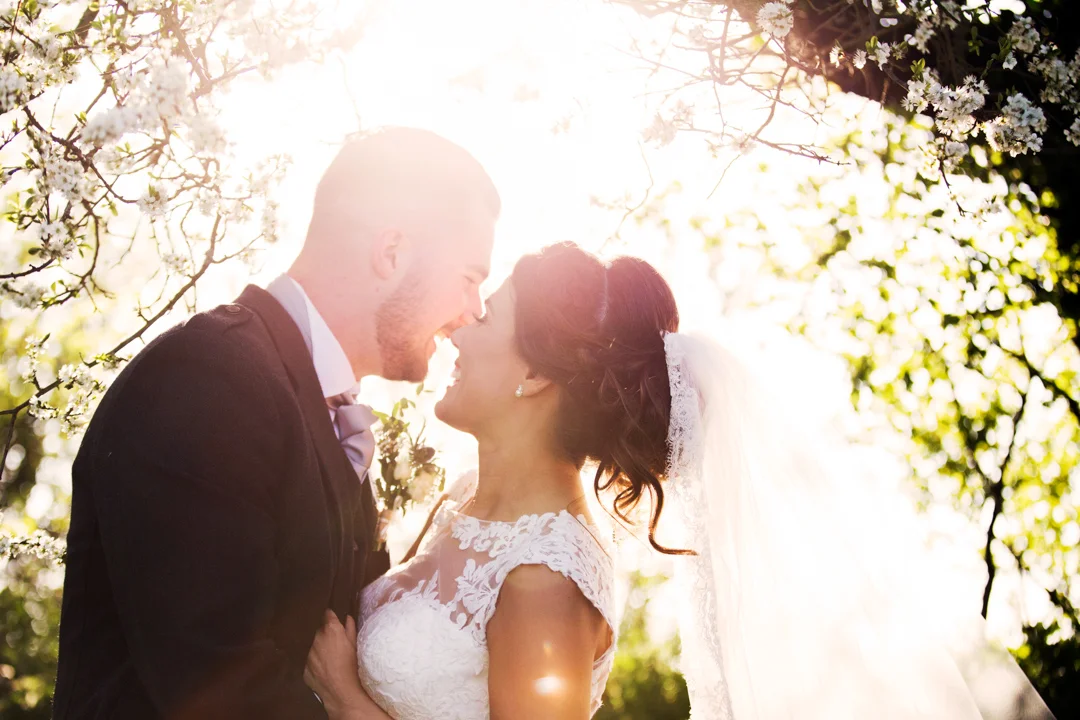 apple blossom | The Oak Barn | Hittisleigh