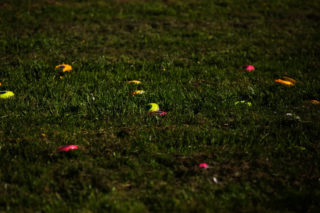 _MG_4096.jpg