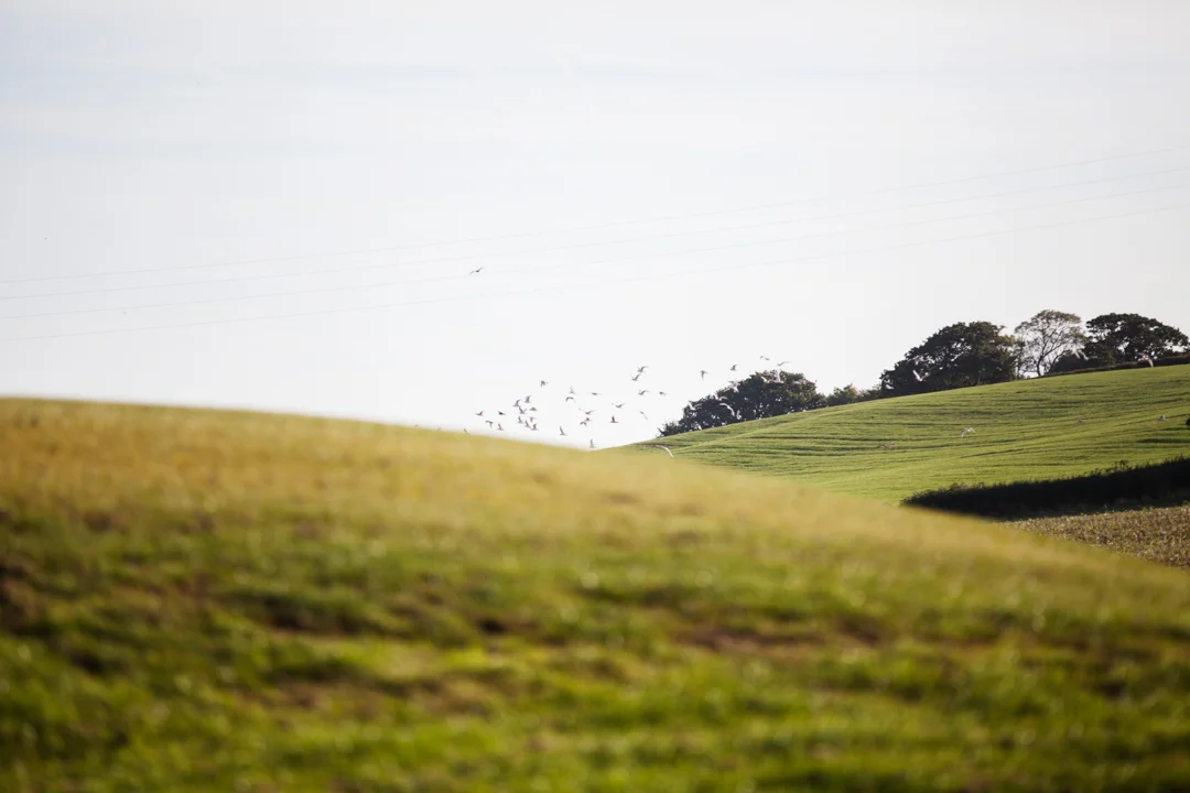 Quantock Lakes Somerset wedding venue