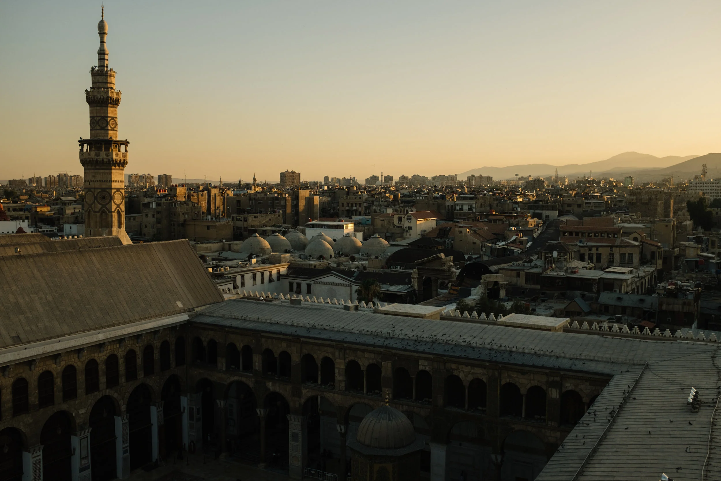 Cagle_Syria_July-0056.jpg
