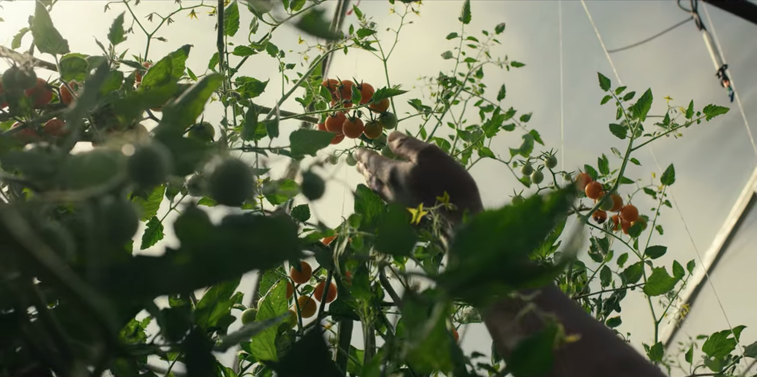 Screen Shot 2021-01-28 at 3.35.53 PM.png