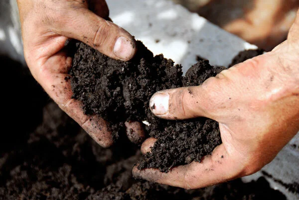 soil-in-hands jpg.jpg