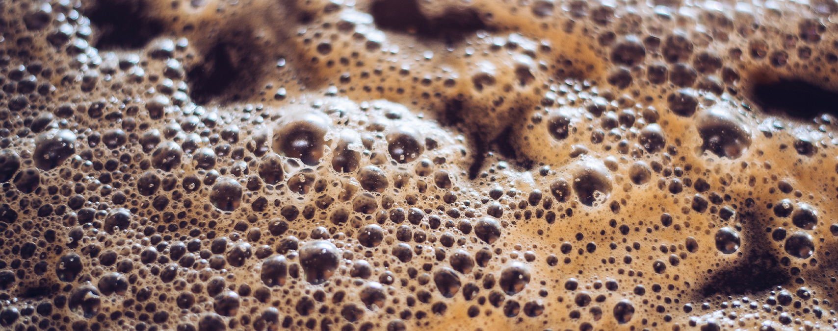 Fermentation-and-Winemaking-Everything-You-Need-to-Know-Hero.png