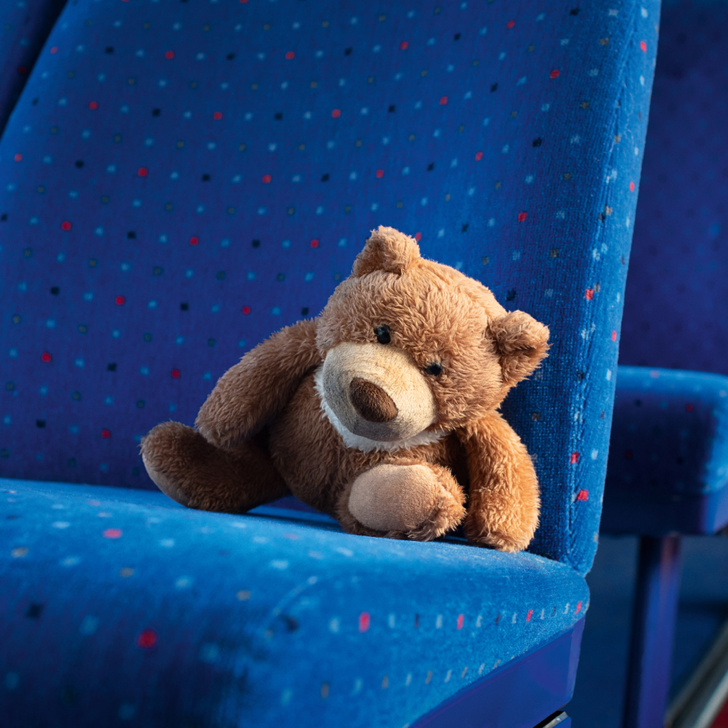 BUS BEAR.jpg