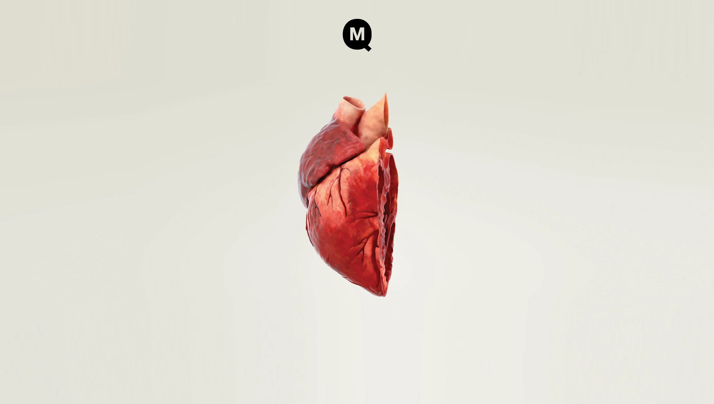 Heart_splash.jpg