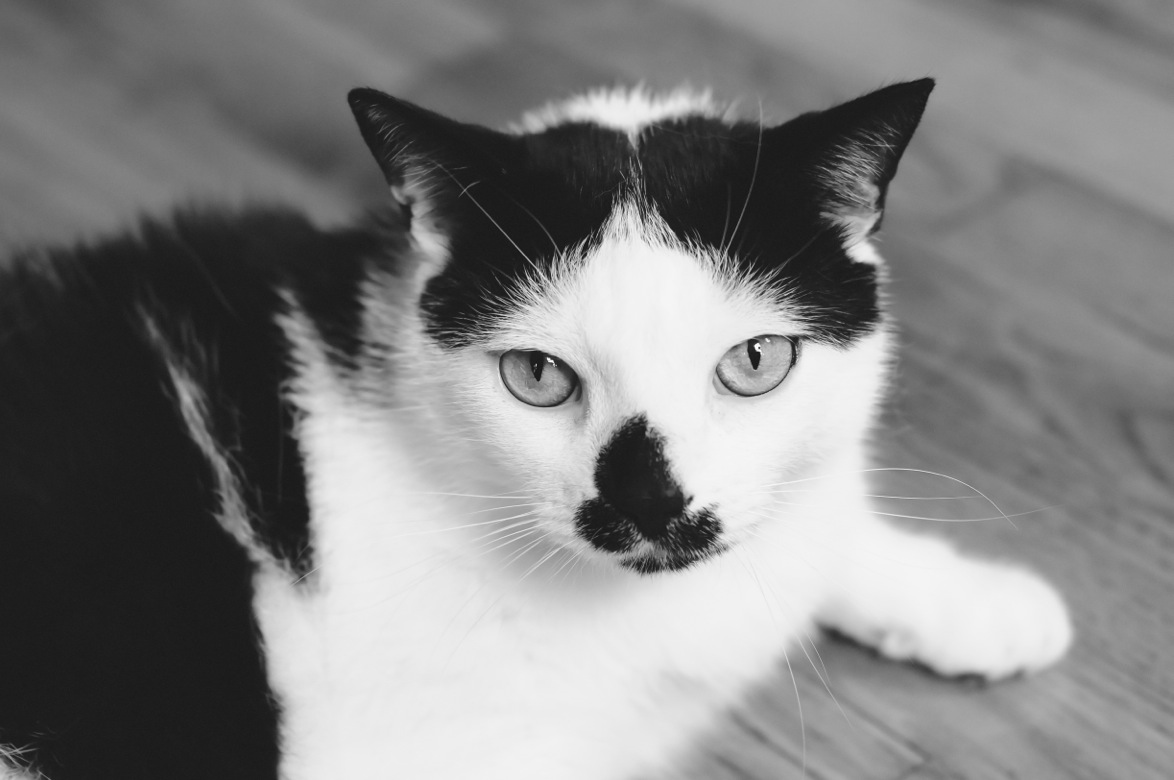 DSC_9547-2.jpeg