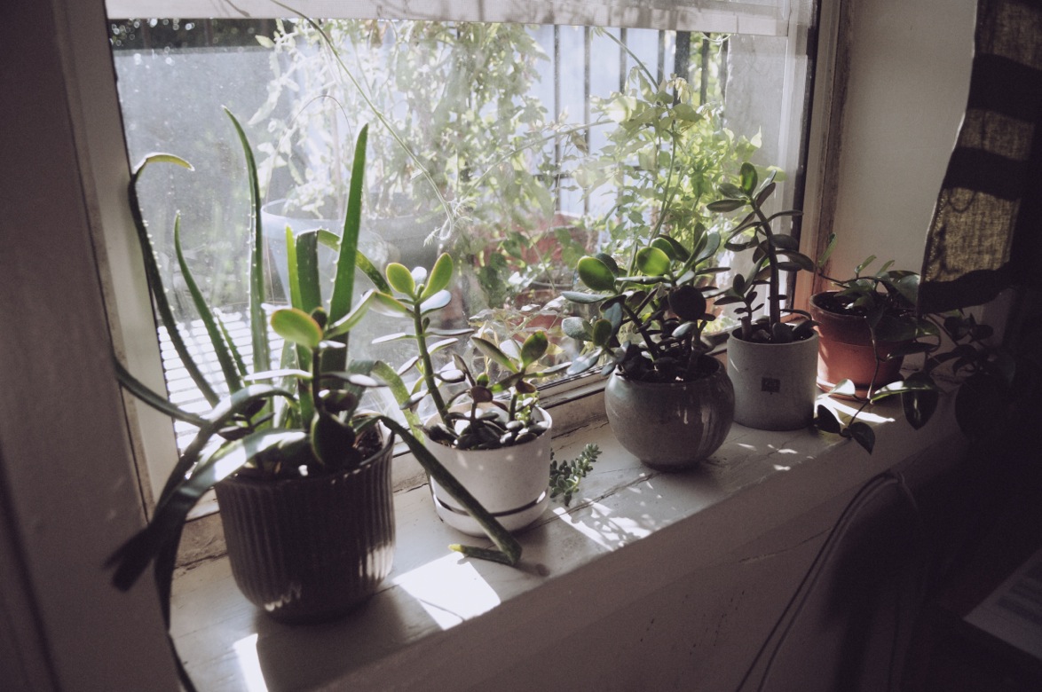 DSC_6548.jpeg
