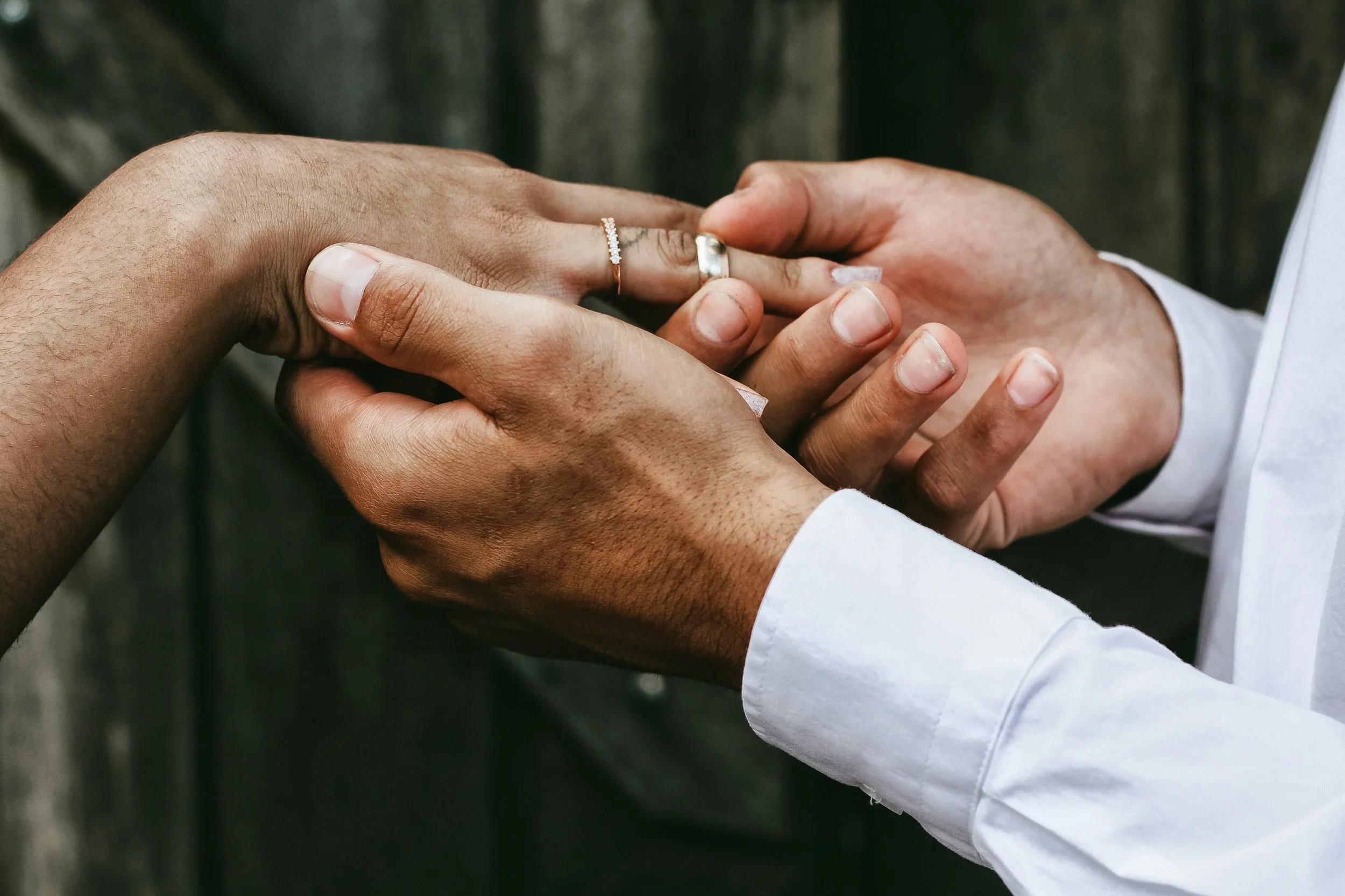 Photo by Matheus Ferrero on Unsplash