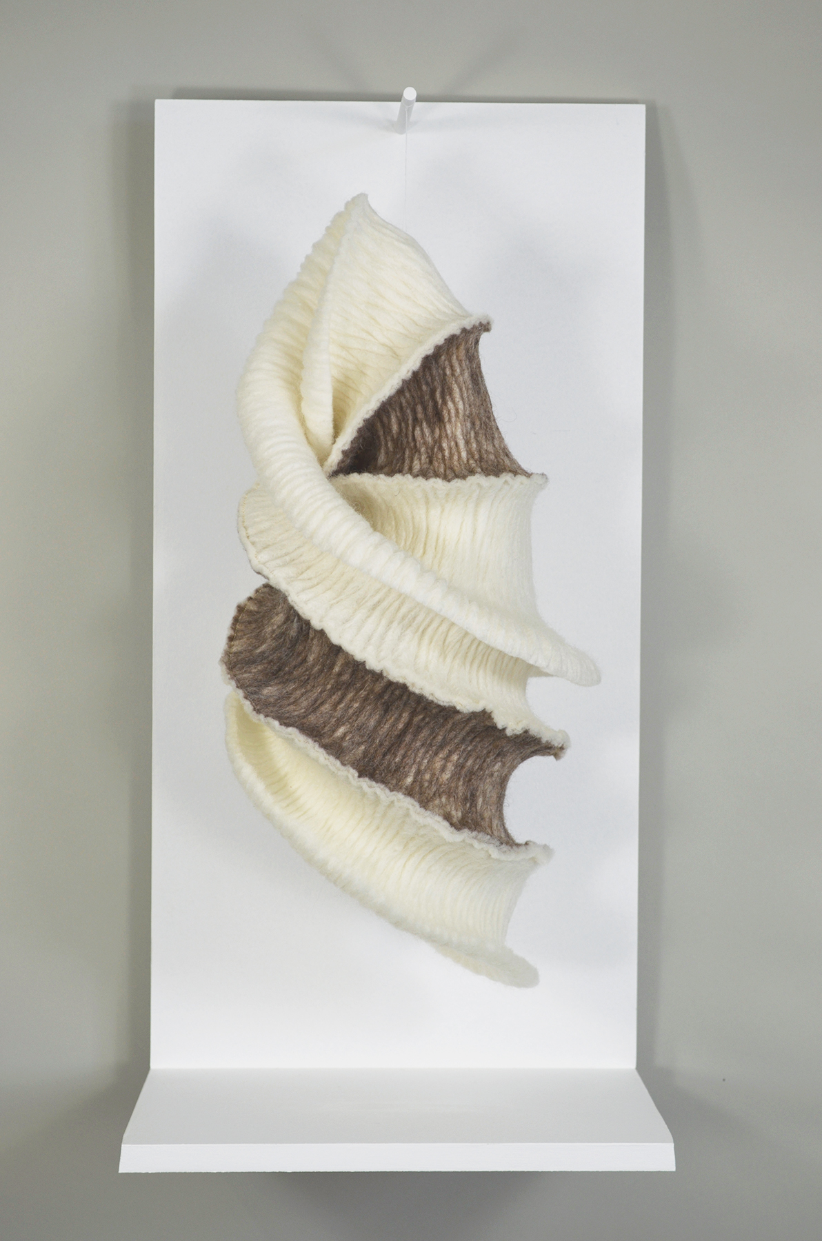 Cocoon
