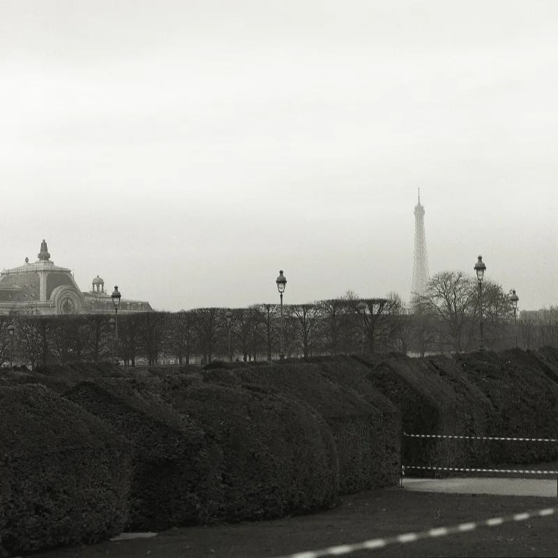 View of the Eiffel Tower from the gardens at the Louvre.