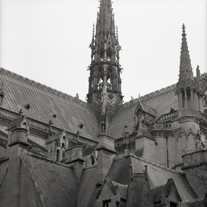 The roof of the Cathédrale Notre-Dame de Paris.