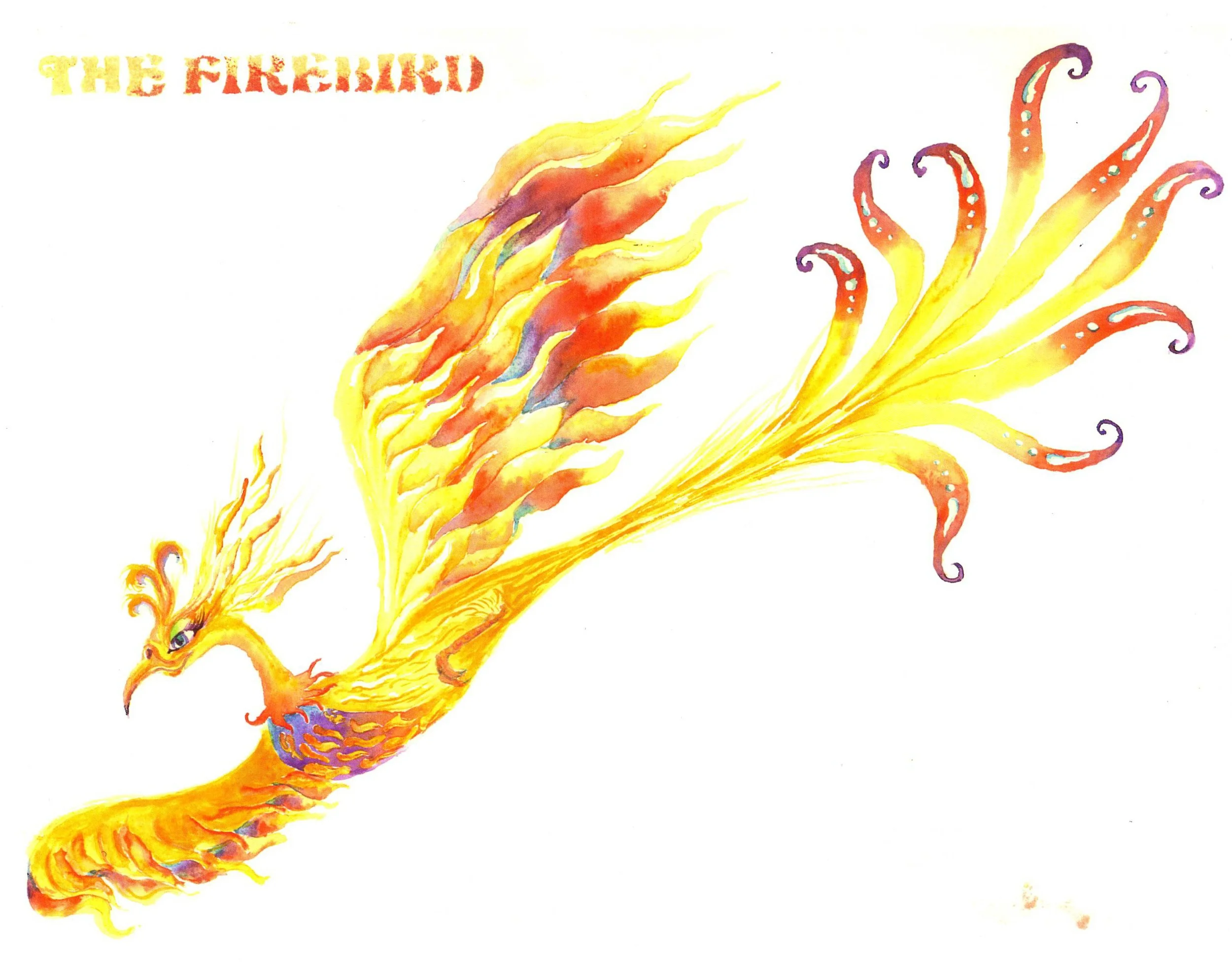 color  puppet sketch