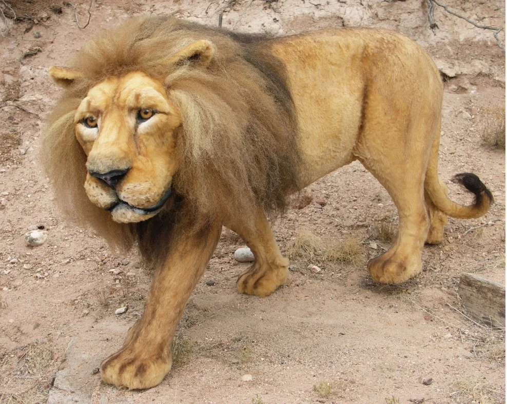 Lion