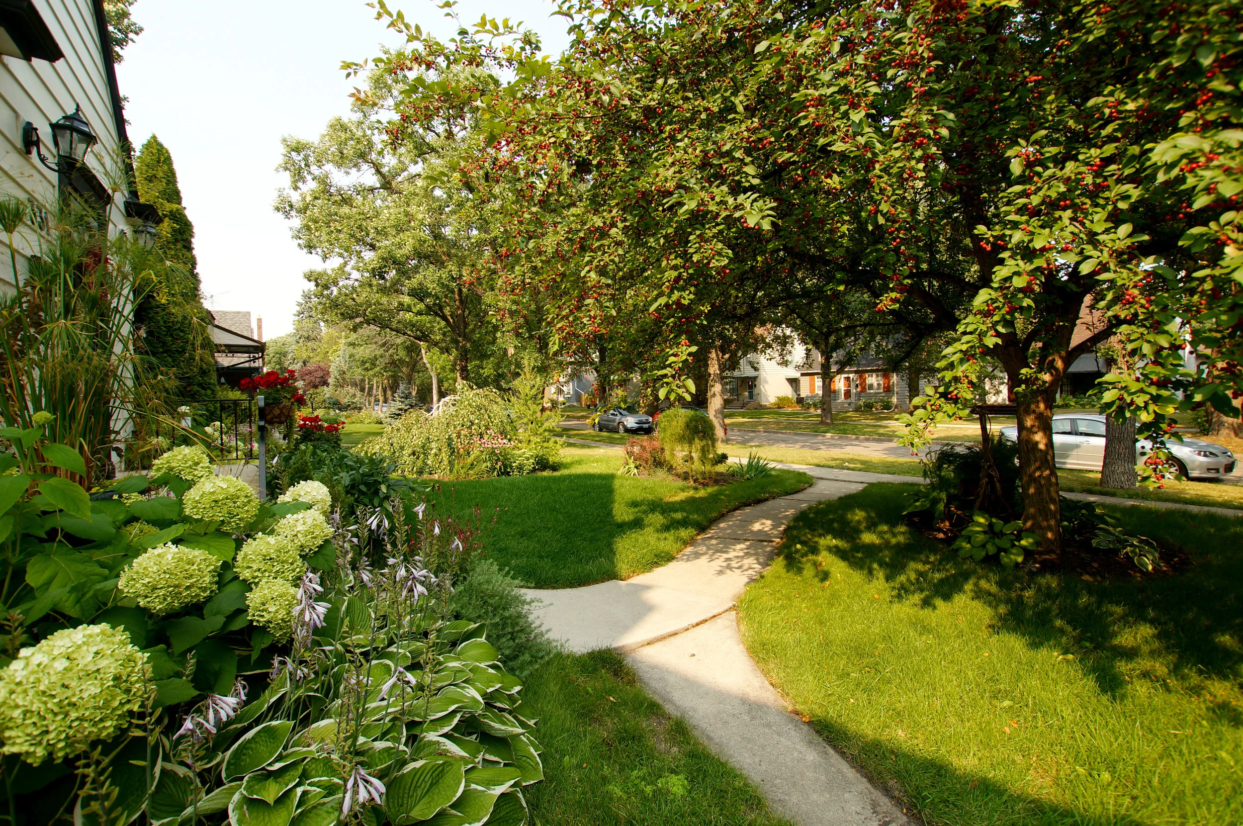 frontyard.jpg