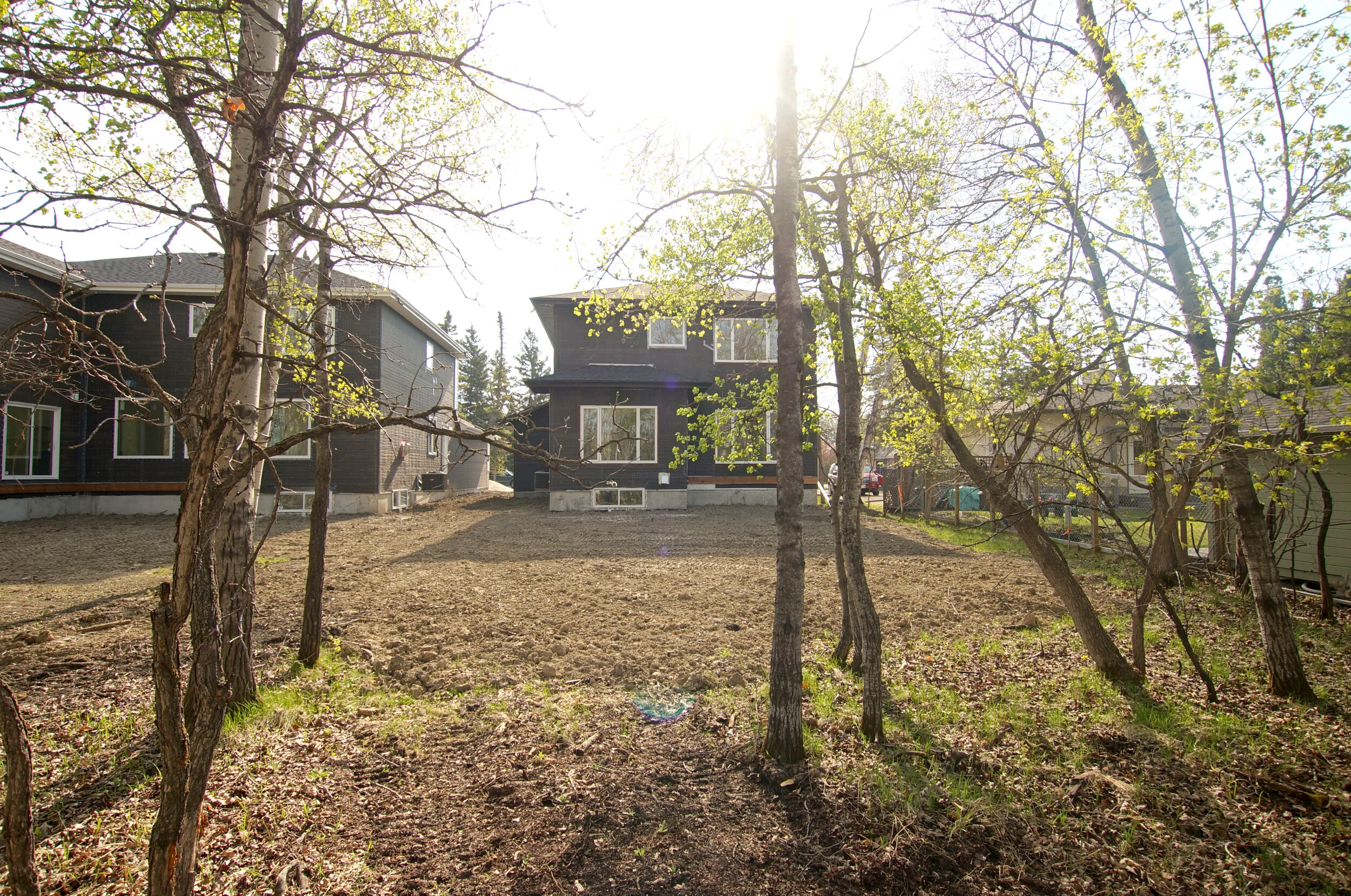 2020-ext-back03.jpg