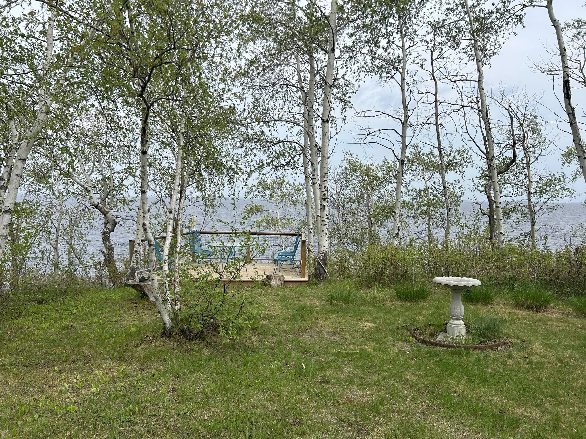 Late-Spring02.jpg
