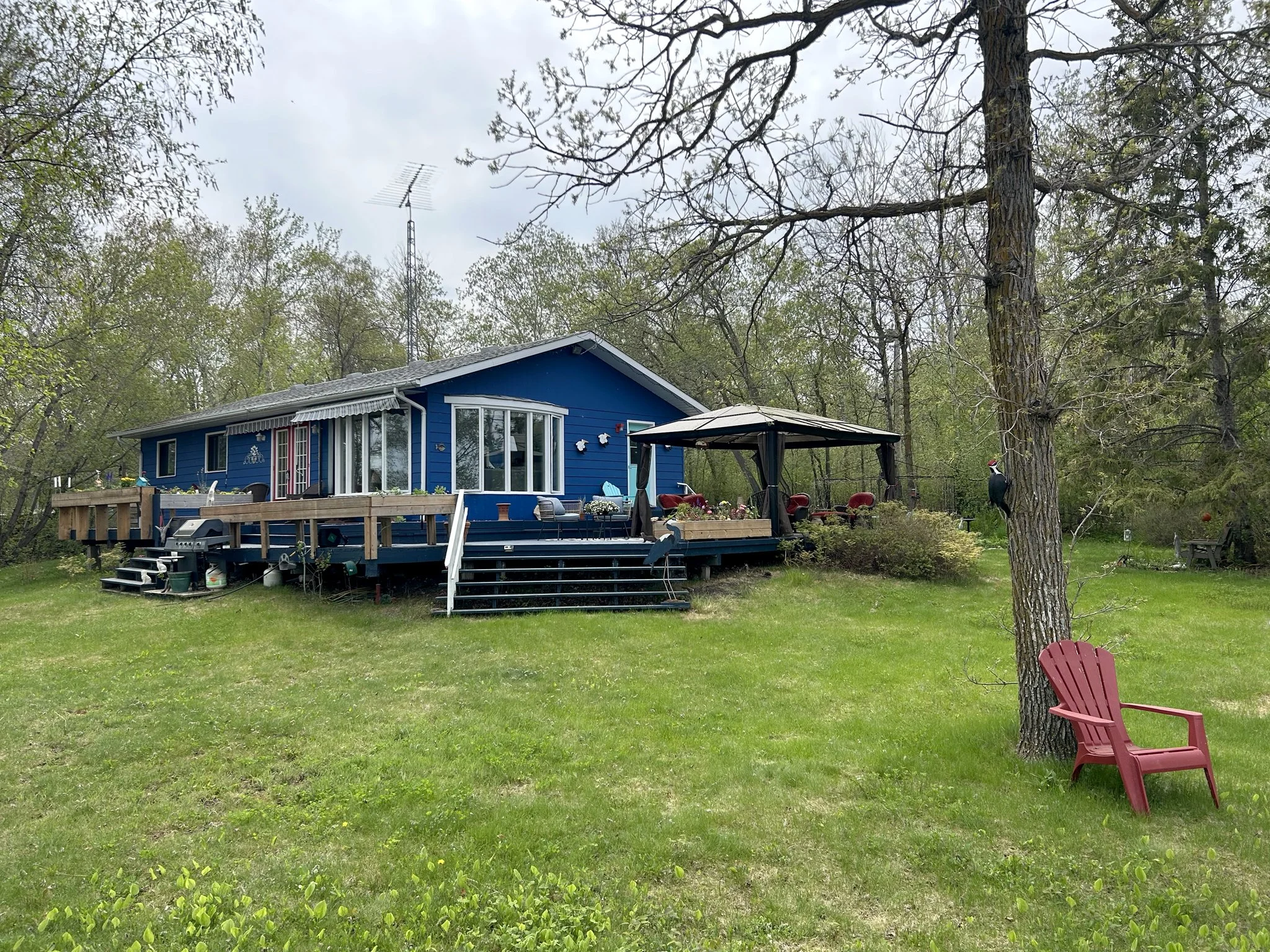 Late-Spring01.jpg