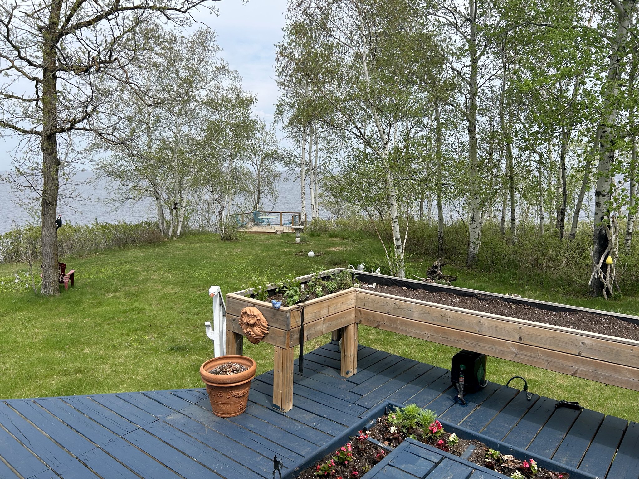 Late-Spring03.jpg