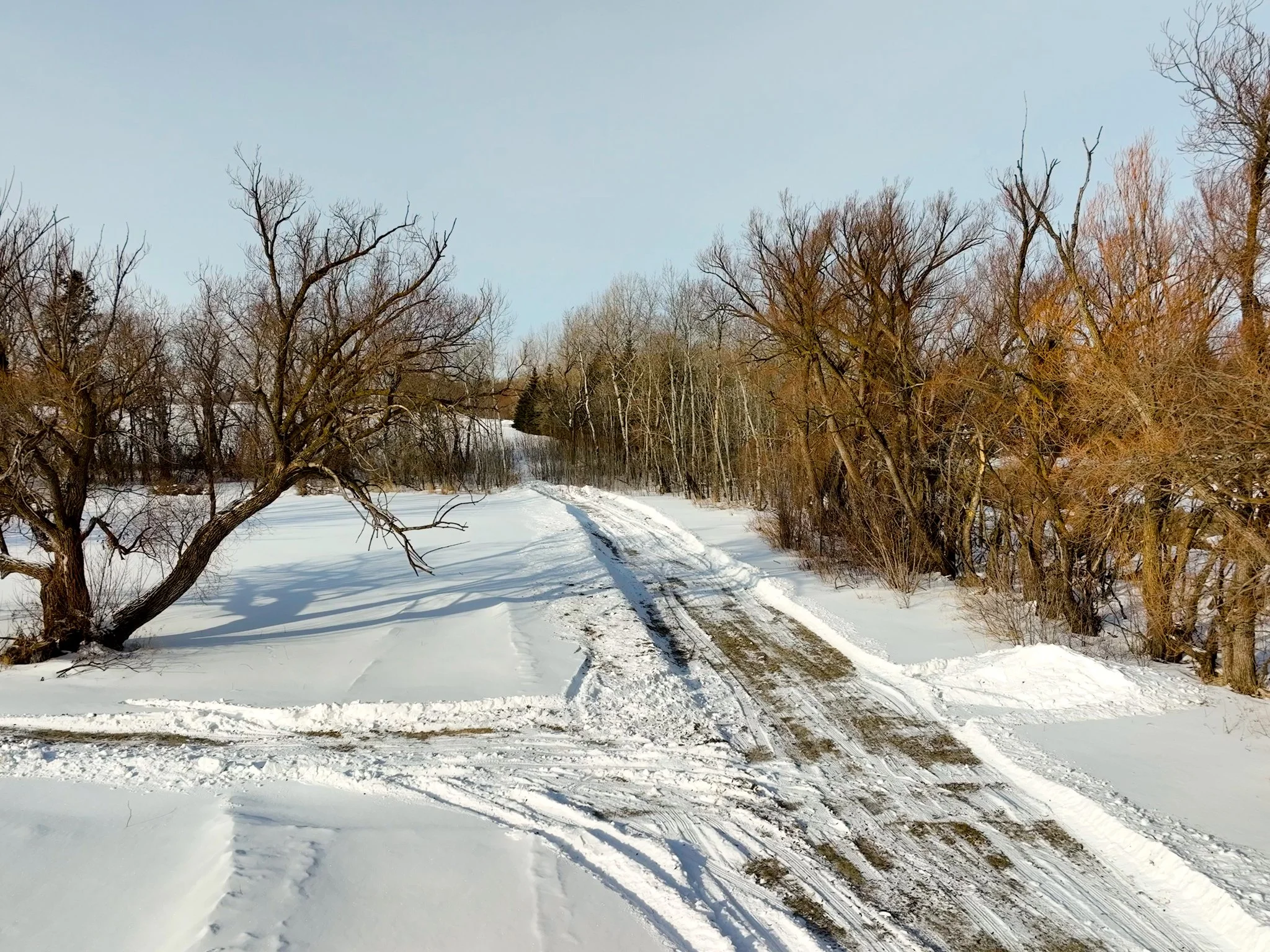 driveway01.jpg