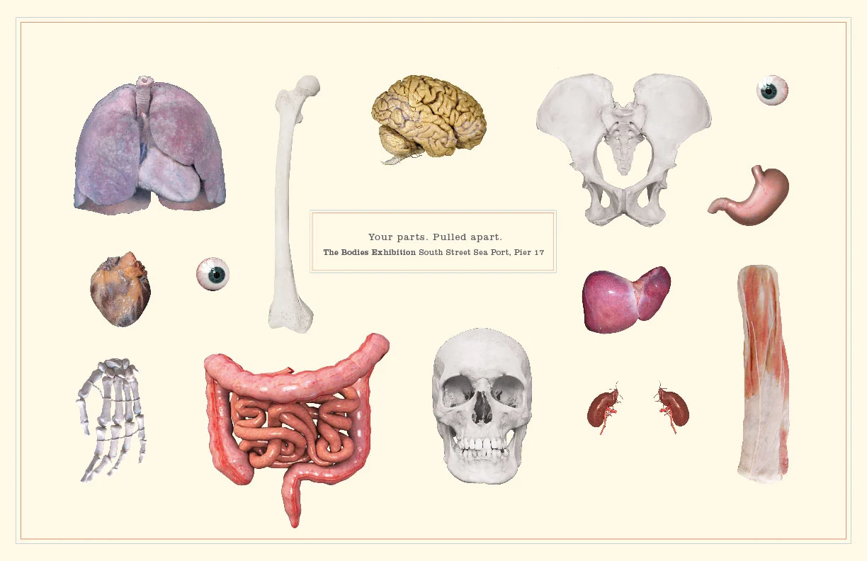 The Bodies Parts-01.jpg