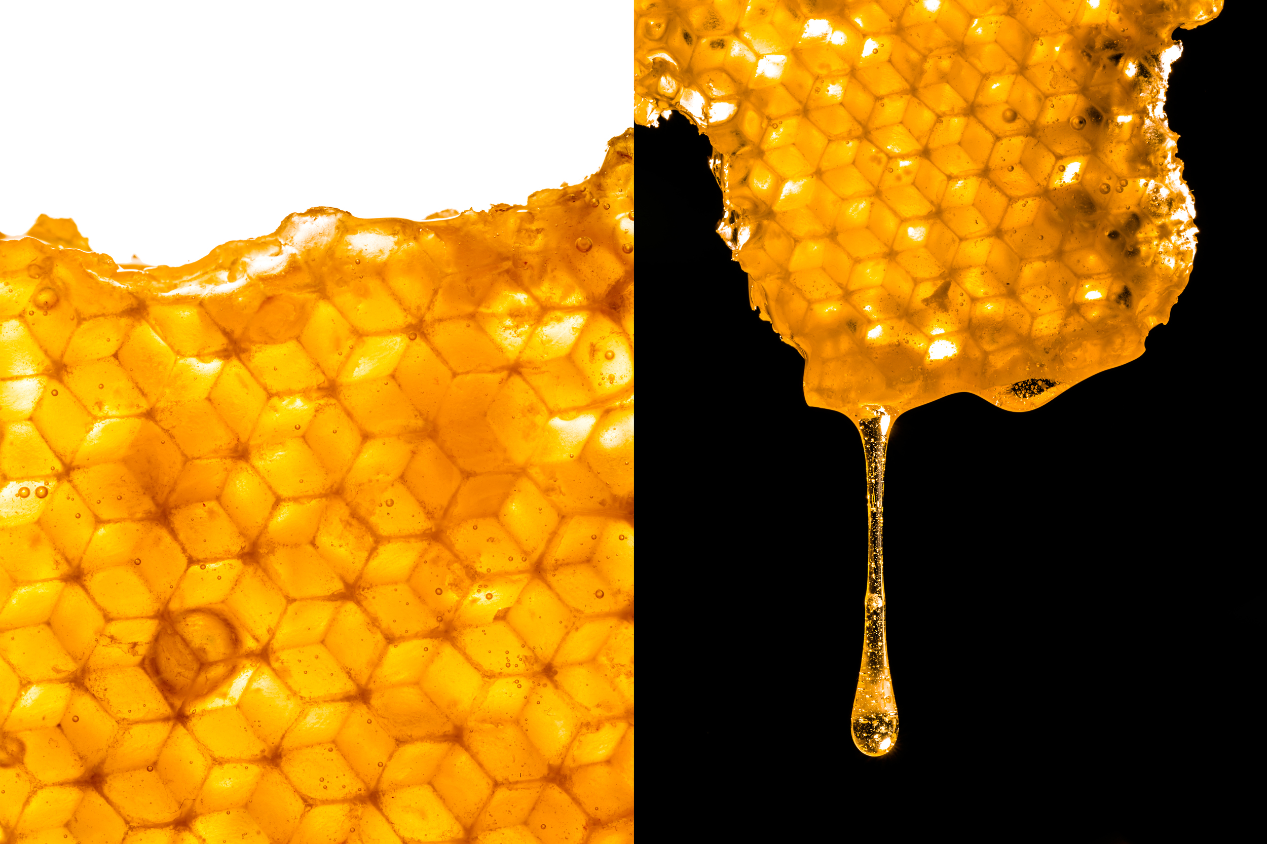 Honey Drip