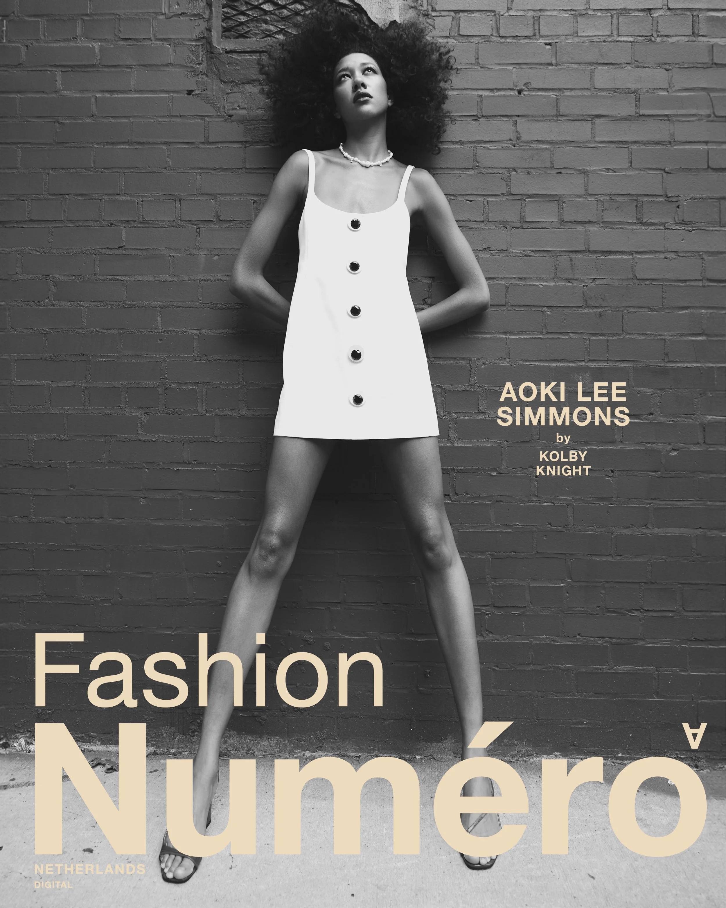Numéro D Aoki.jpg