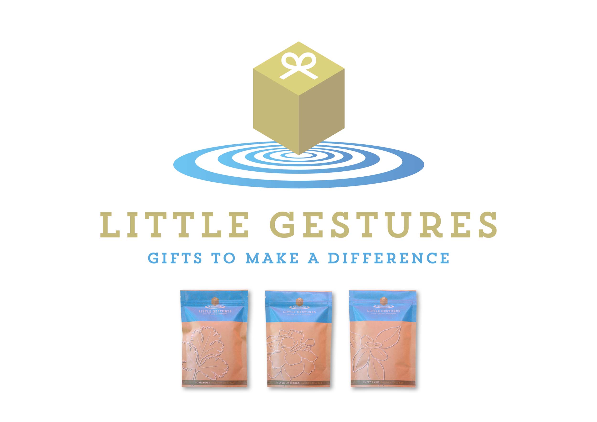 Logo Little Gestures.jpg