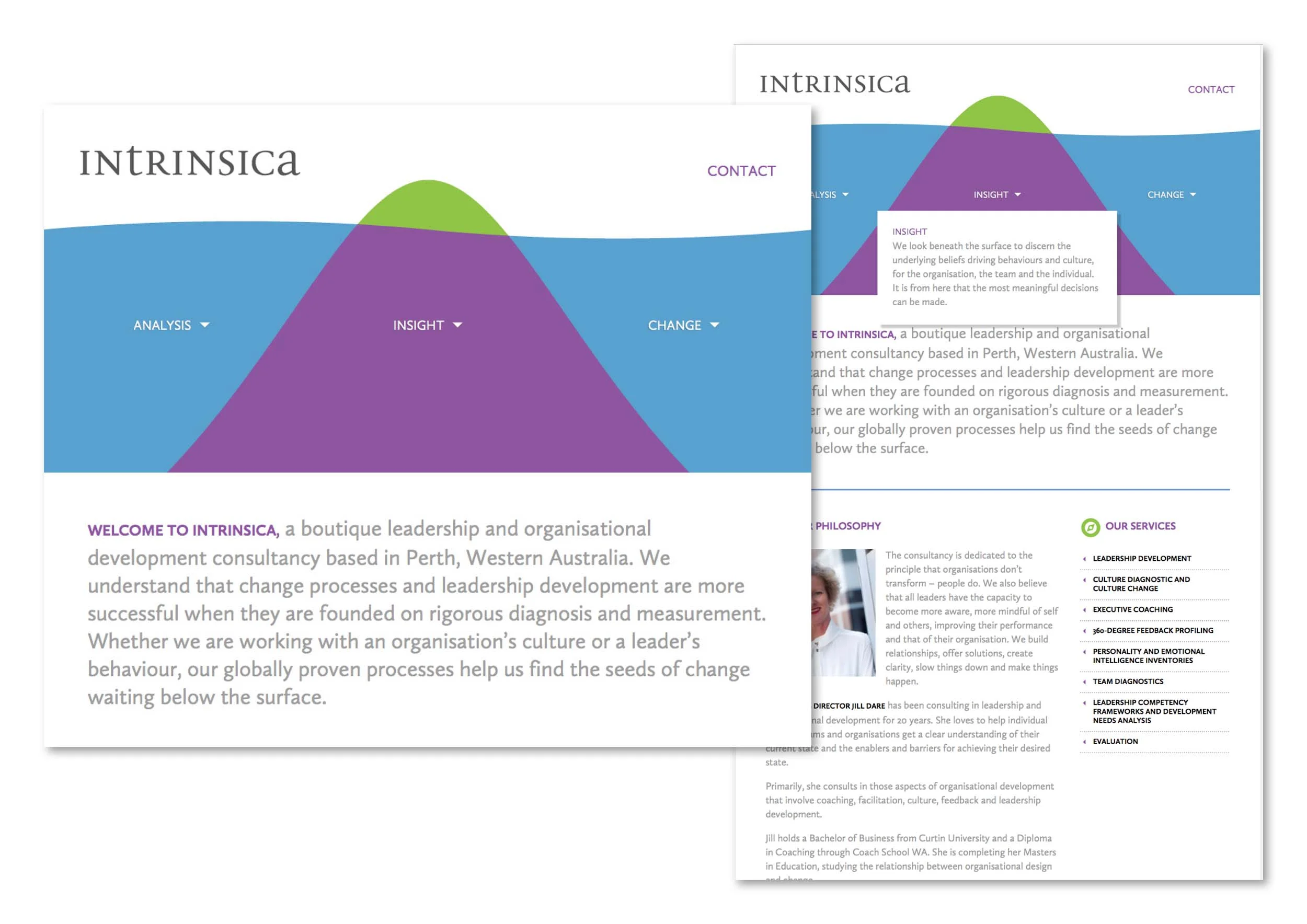 Website_Intrinsica.jpg