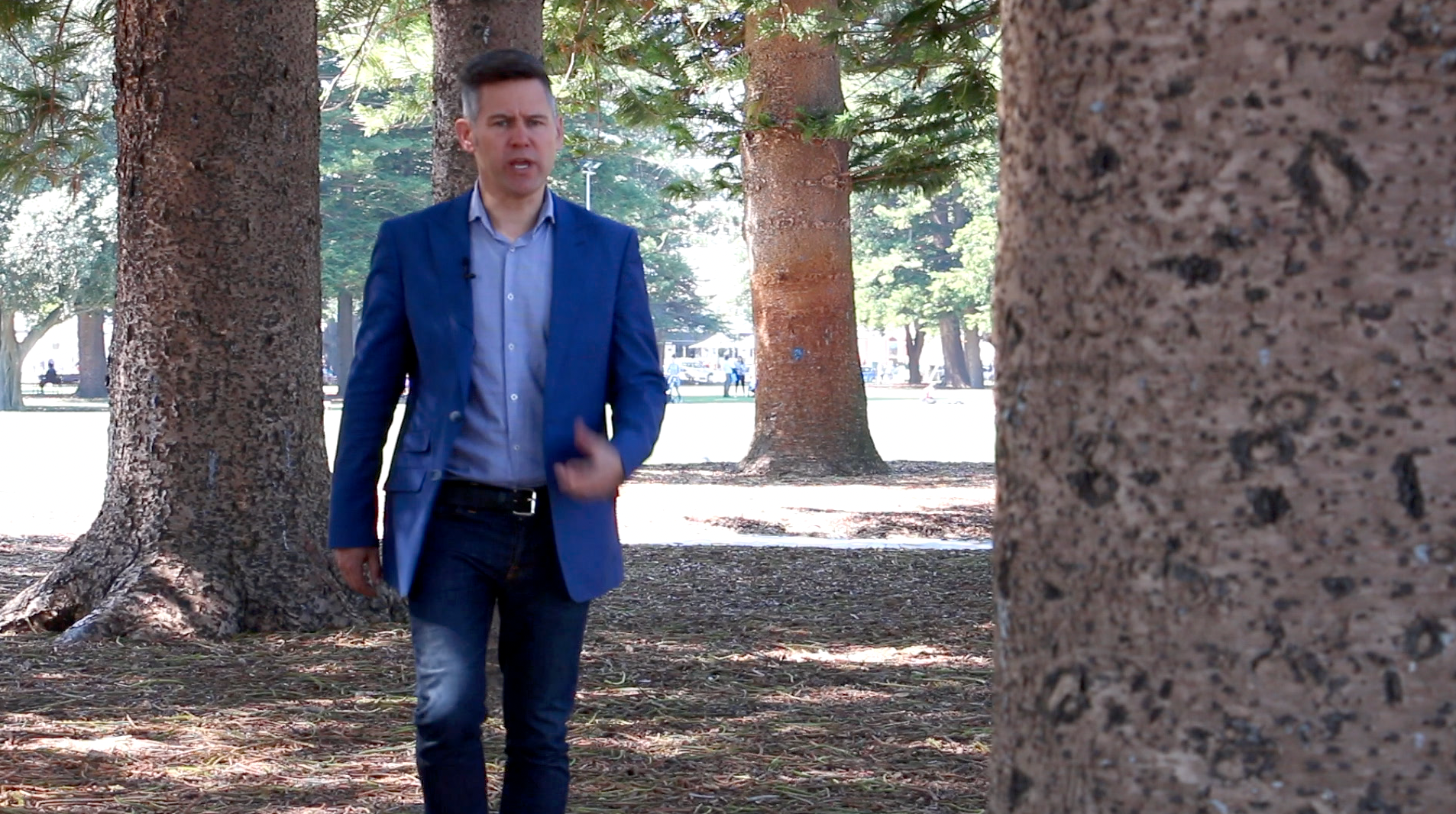 Brad Pettitt Re-election Campaign - Finances
