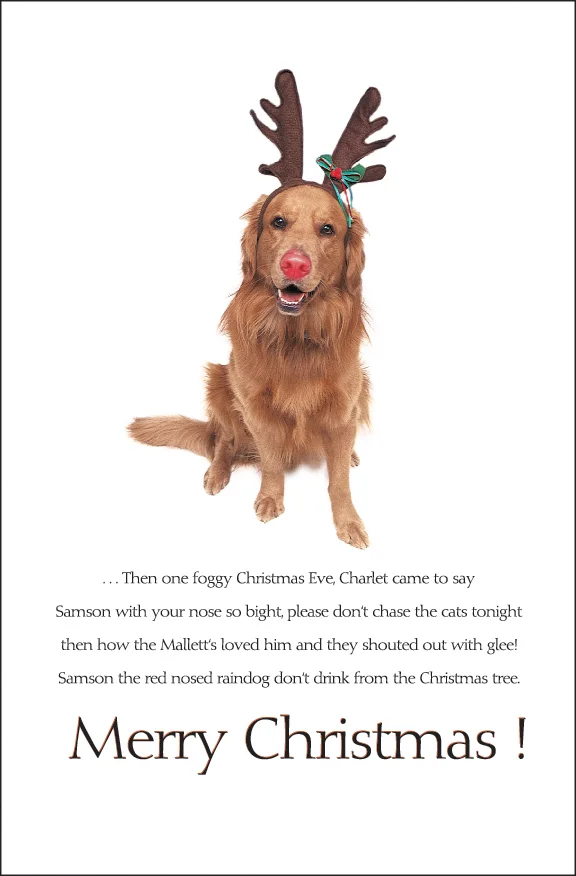 1998 Christmas Card