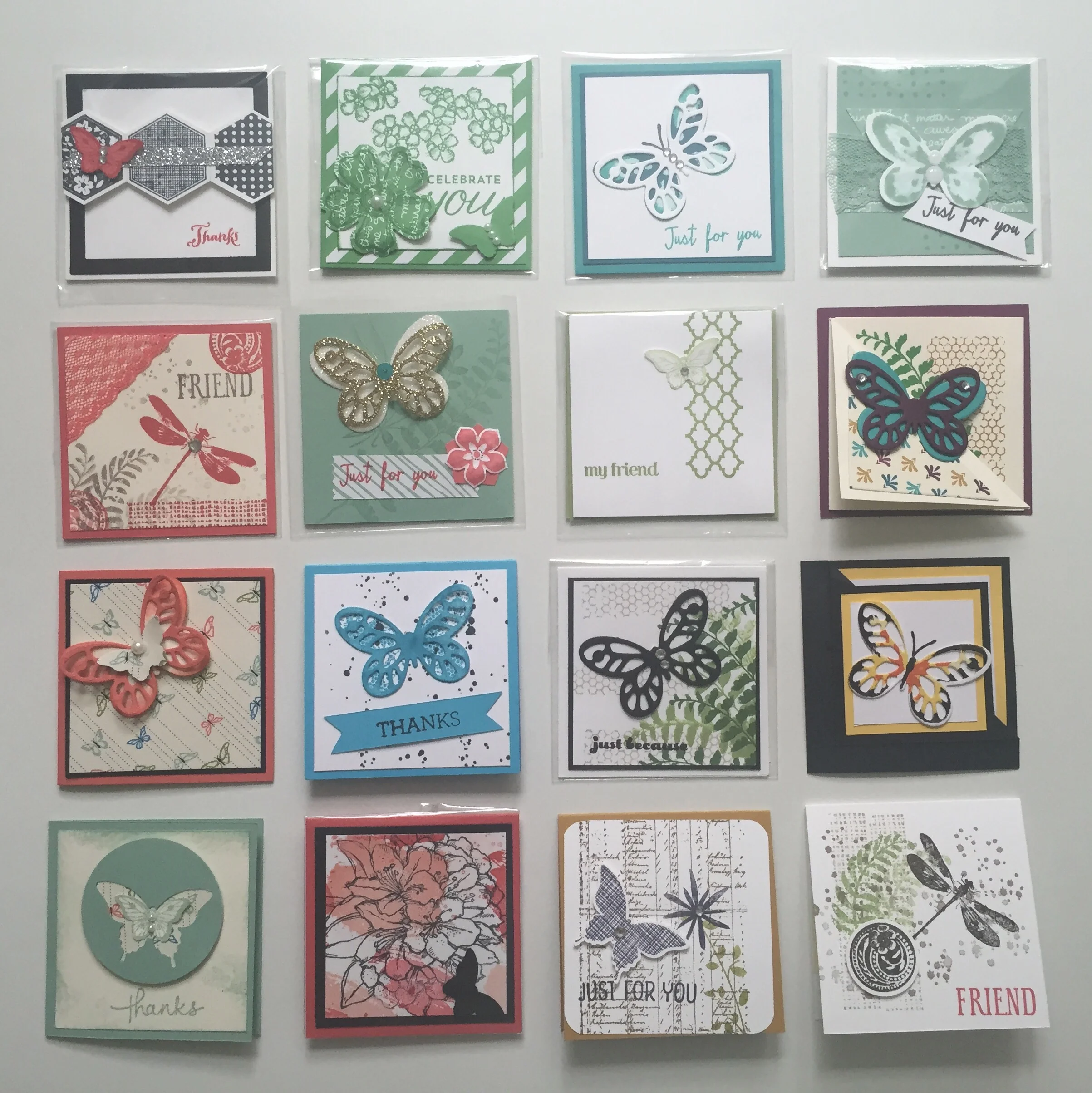 Everyone loves a Butterfly