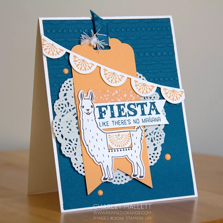 Birthday Fiesta 5b.jpg