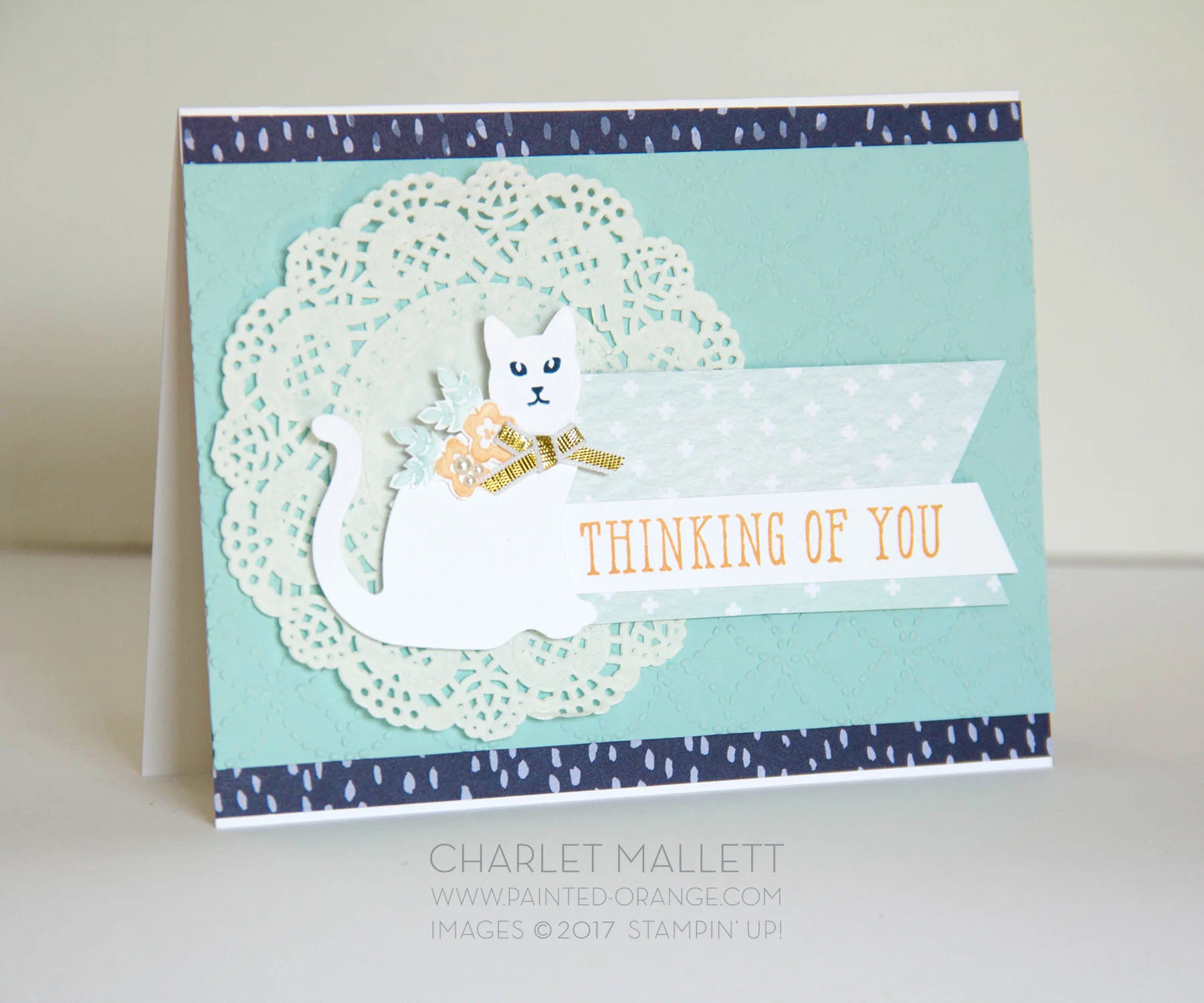 Thinking of You cat card - Window Shopping - Stampin' Up! Charlet Mallett