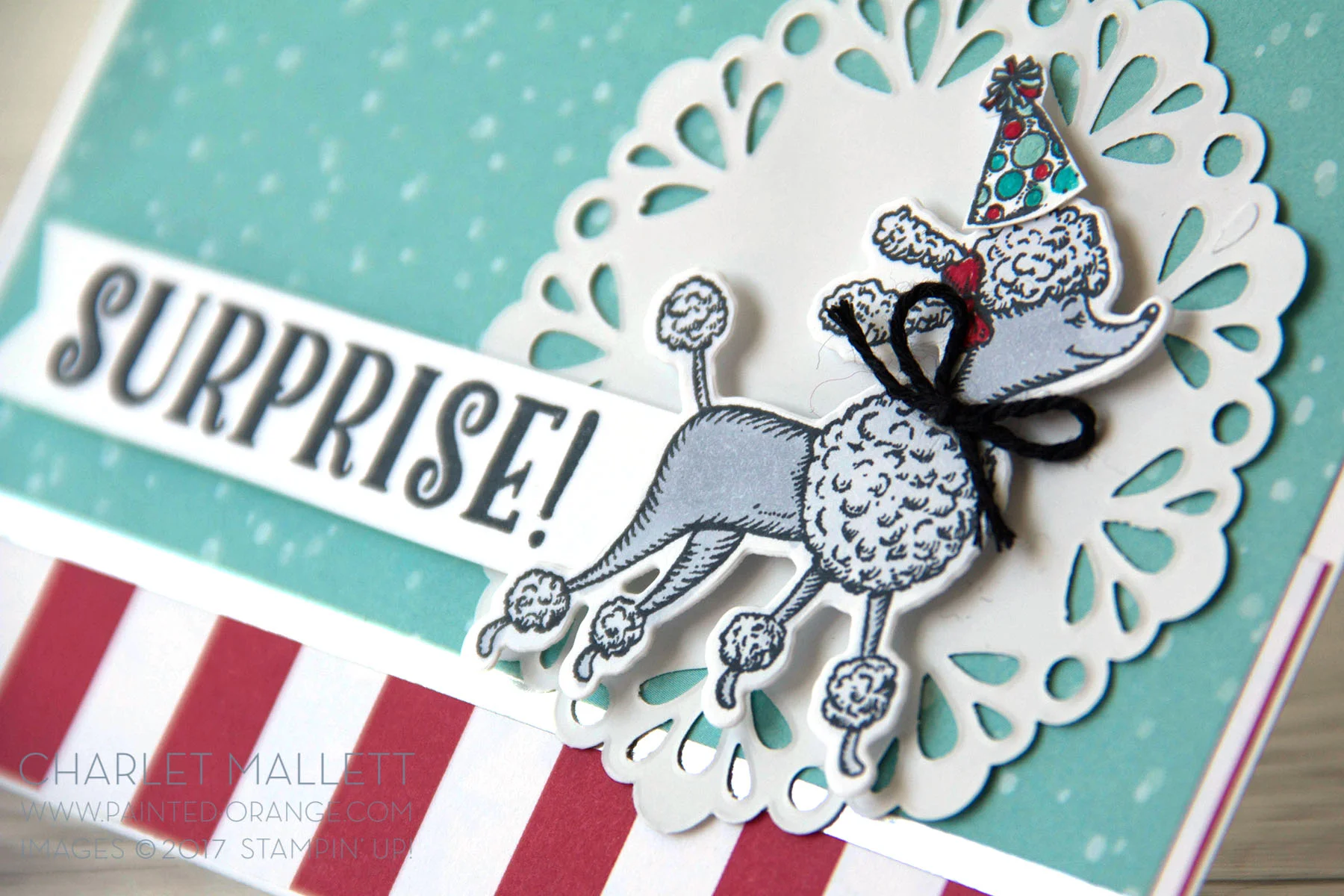 Birthday Delivery What Will You Stamp — Painted Orange